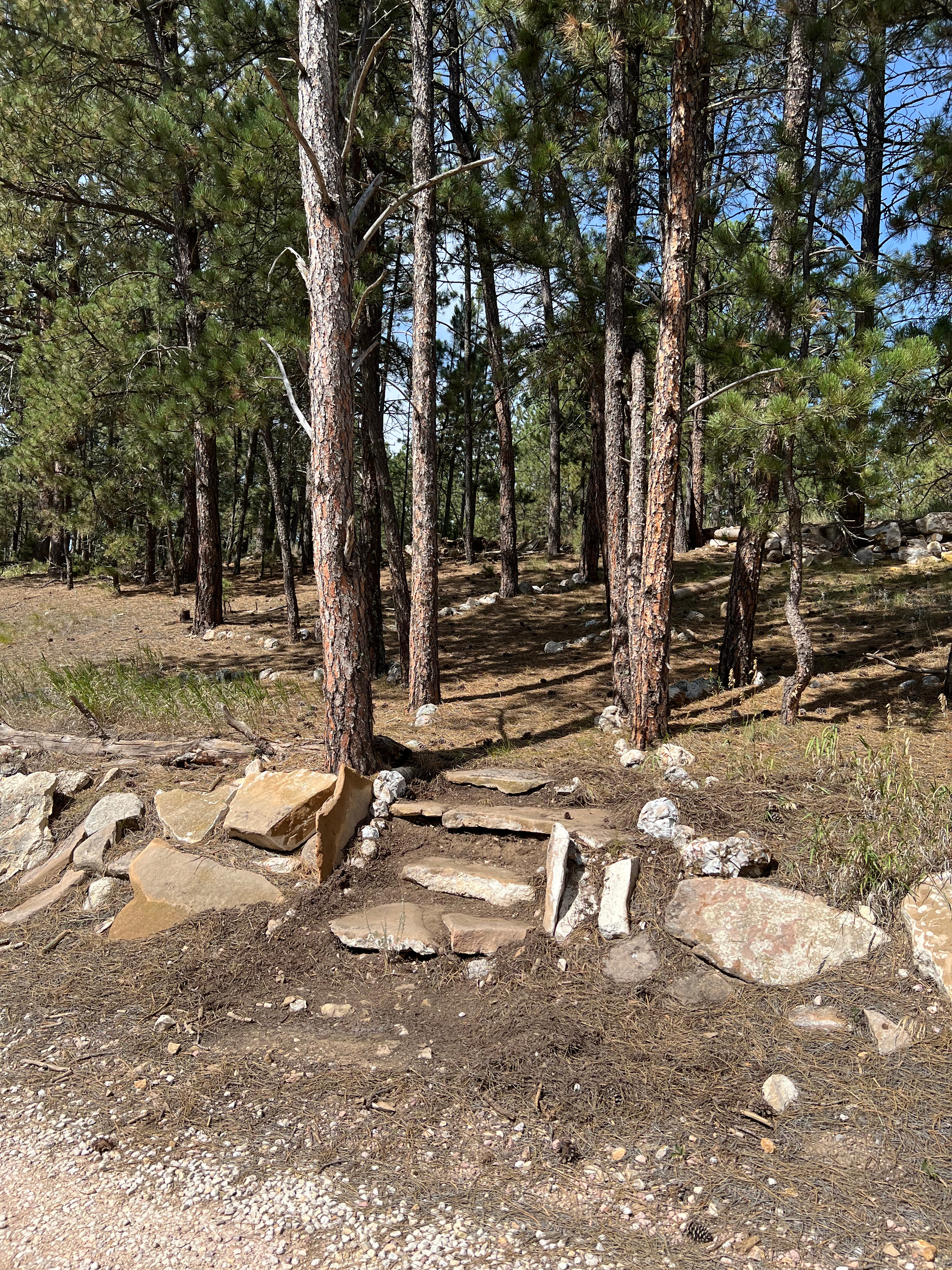Refuge Hill RV/Campsite