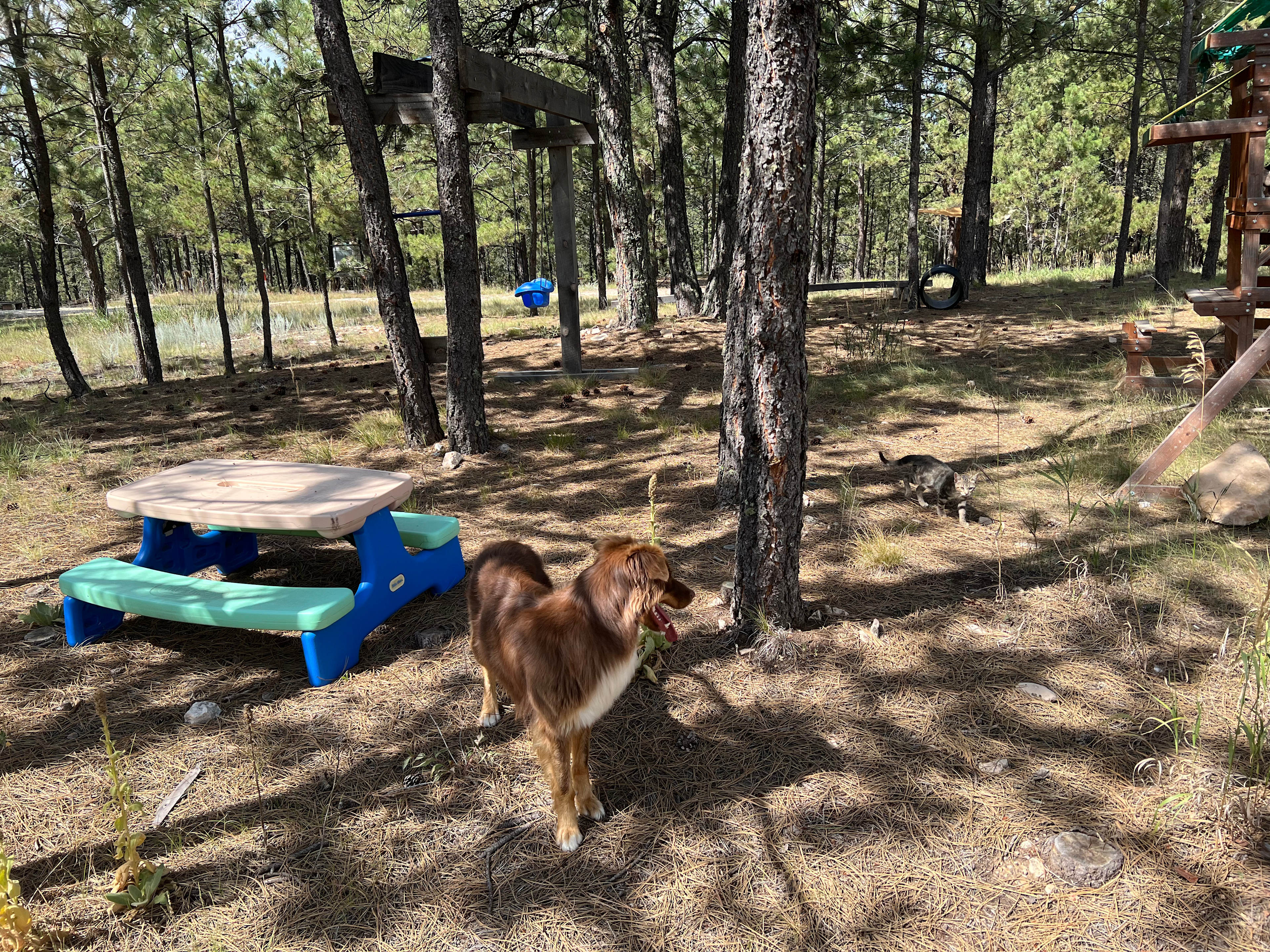 Refuge Hill Campsite