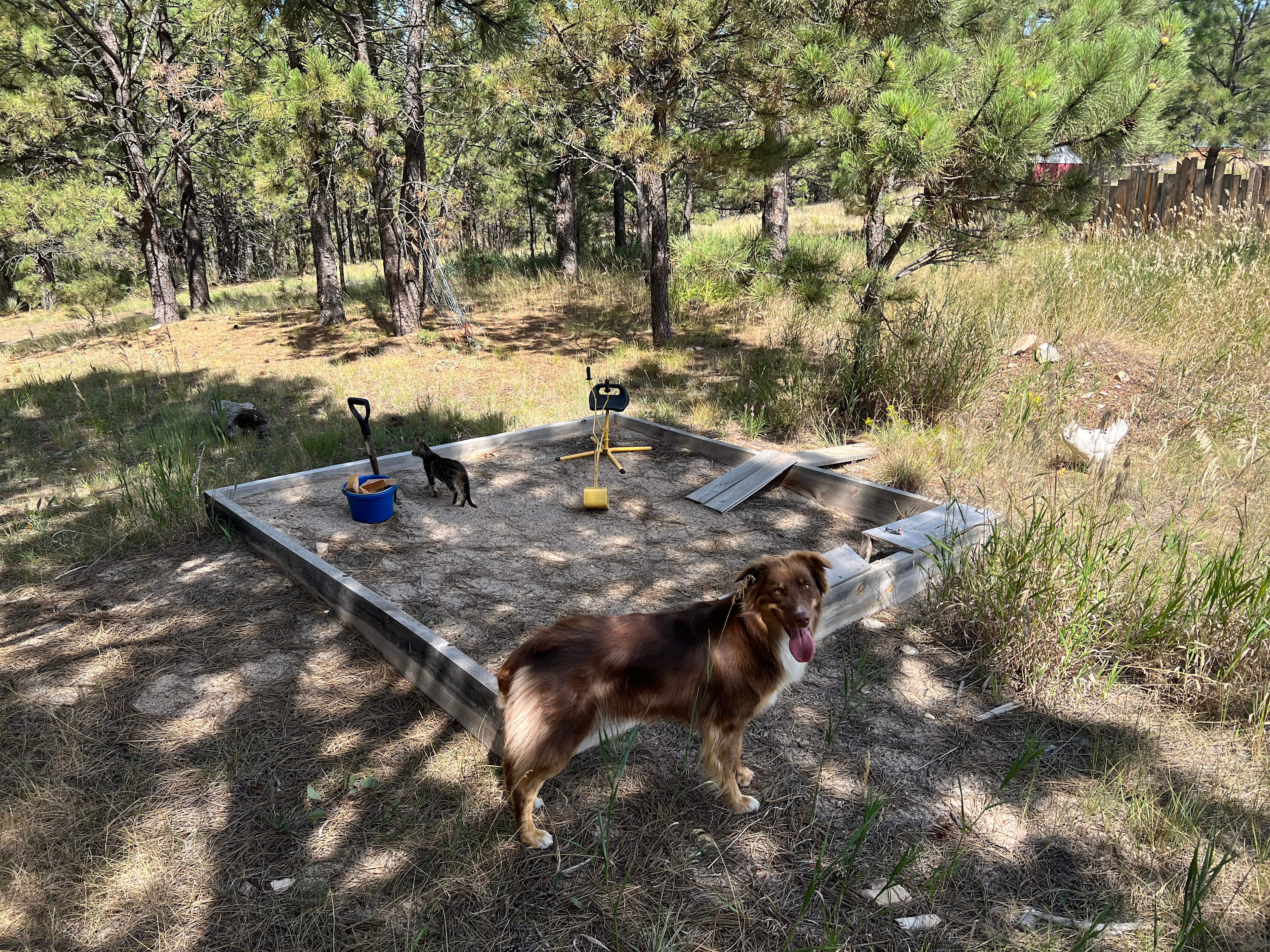 Refuge Hill Campsite