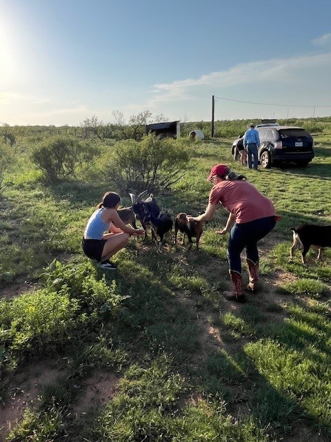 Valle de Oro RV Pad at LVE Ranch