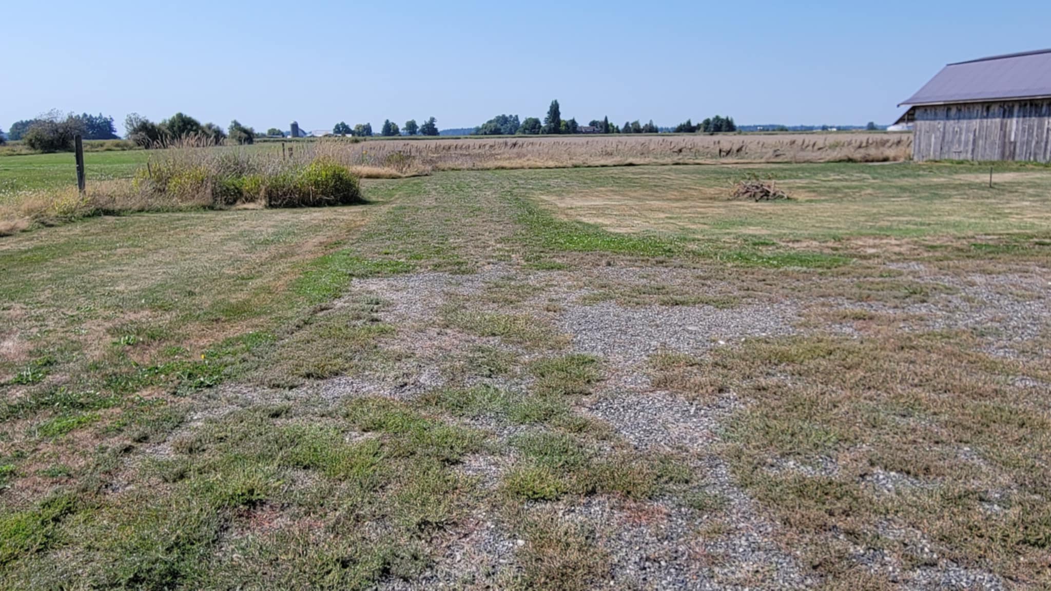 There is gravel under the weeds that grew threw it all the way to the field. 
