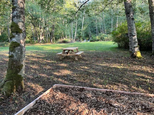 Little Mountain Meadow