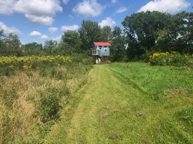 The Hattie Shack at Peony Power