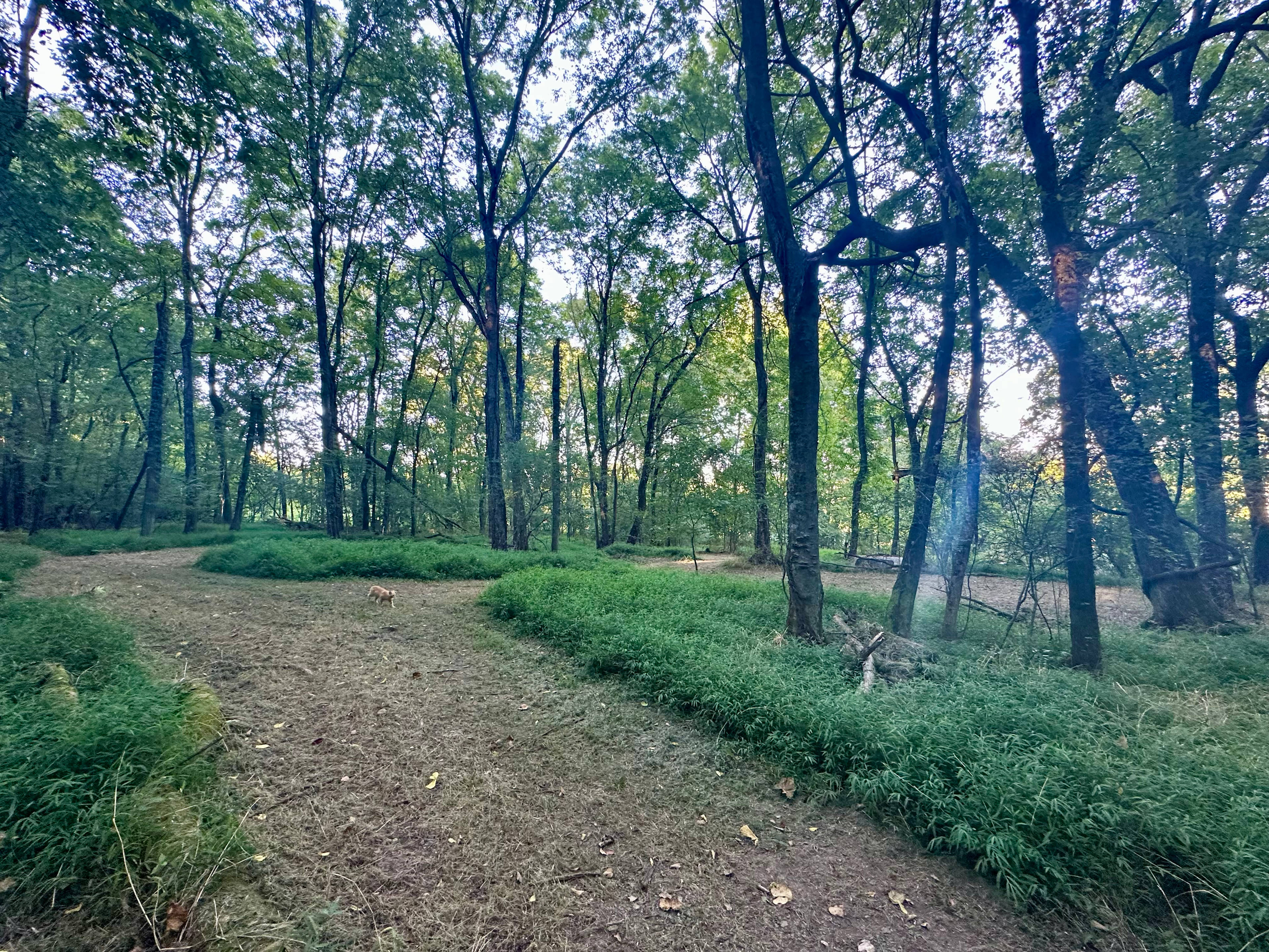 Shadow Ridge Retreat