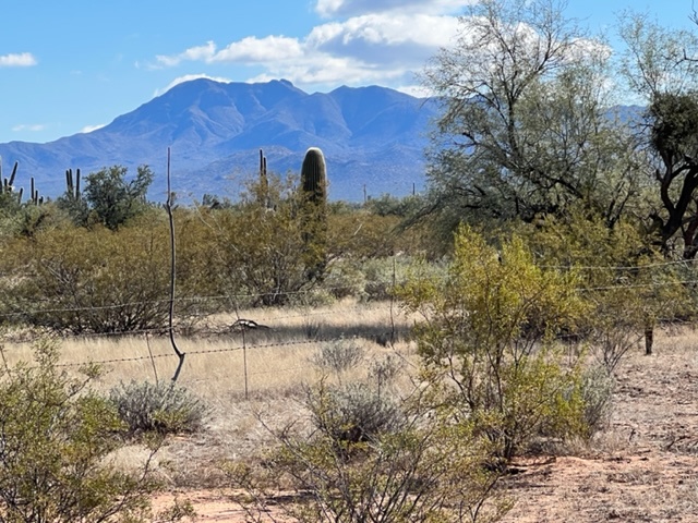 State Trust Land Adjacent to Site