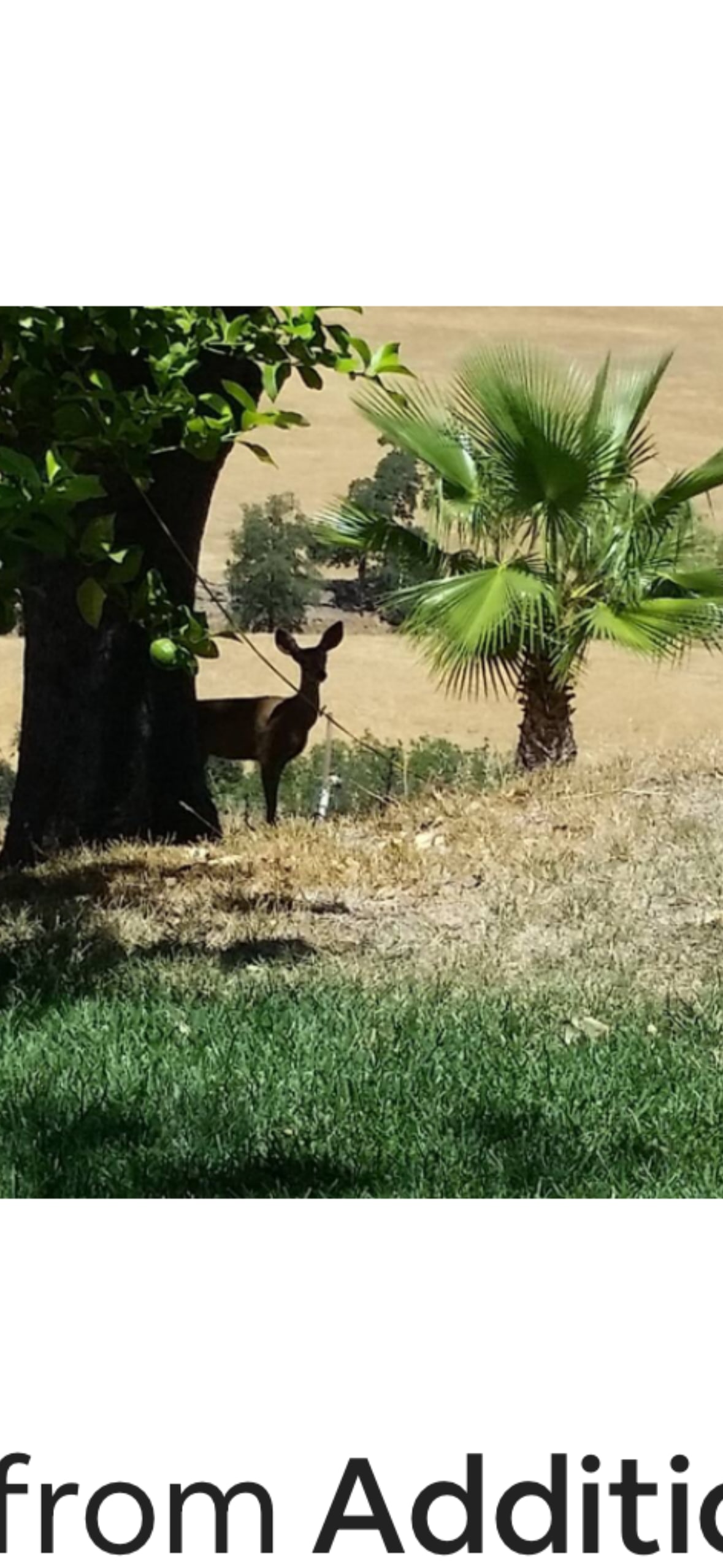 Million Dollar Views Await