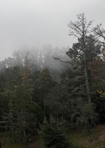 Sibley Backpack Camp