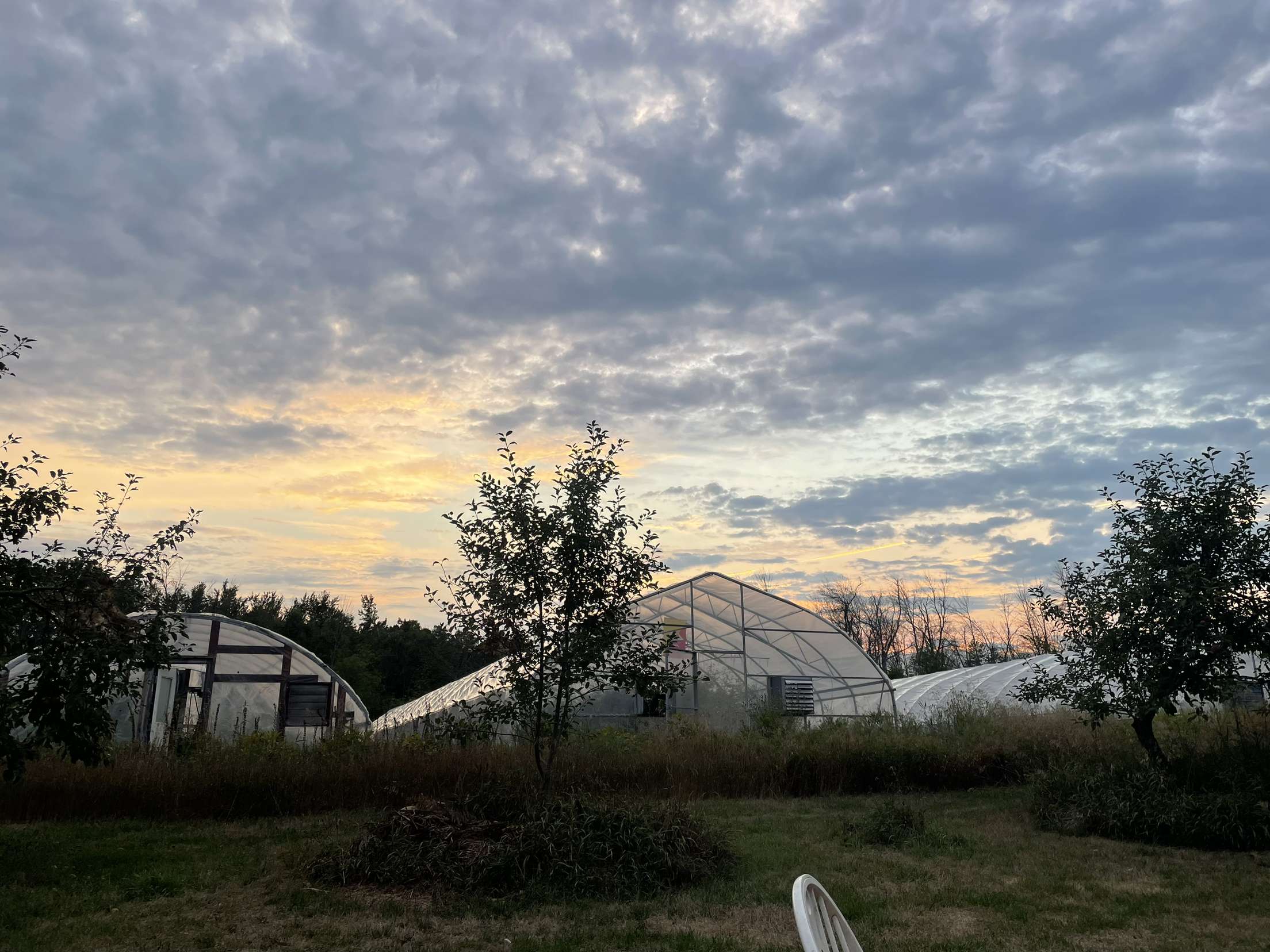 Organic Flower Farm
