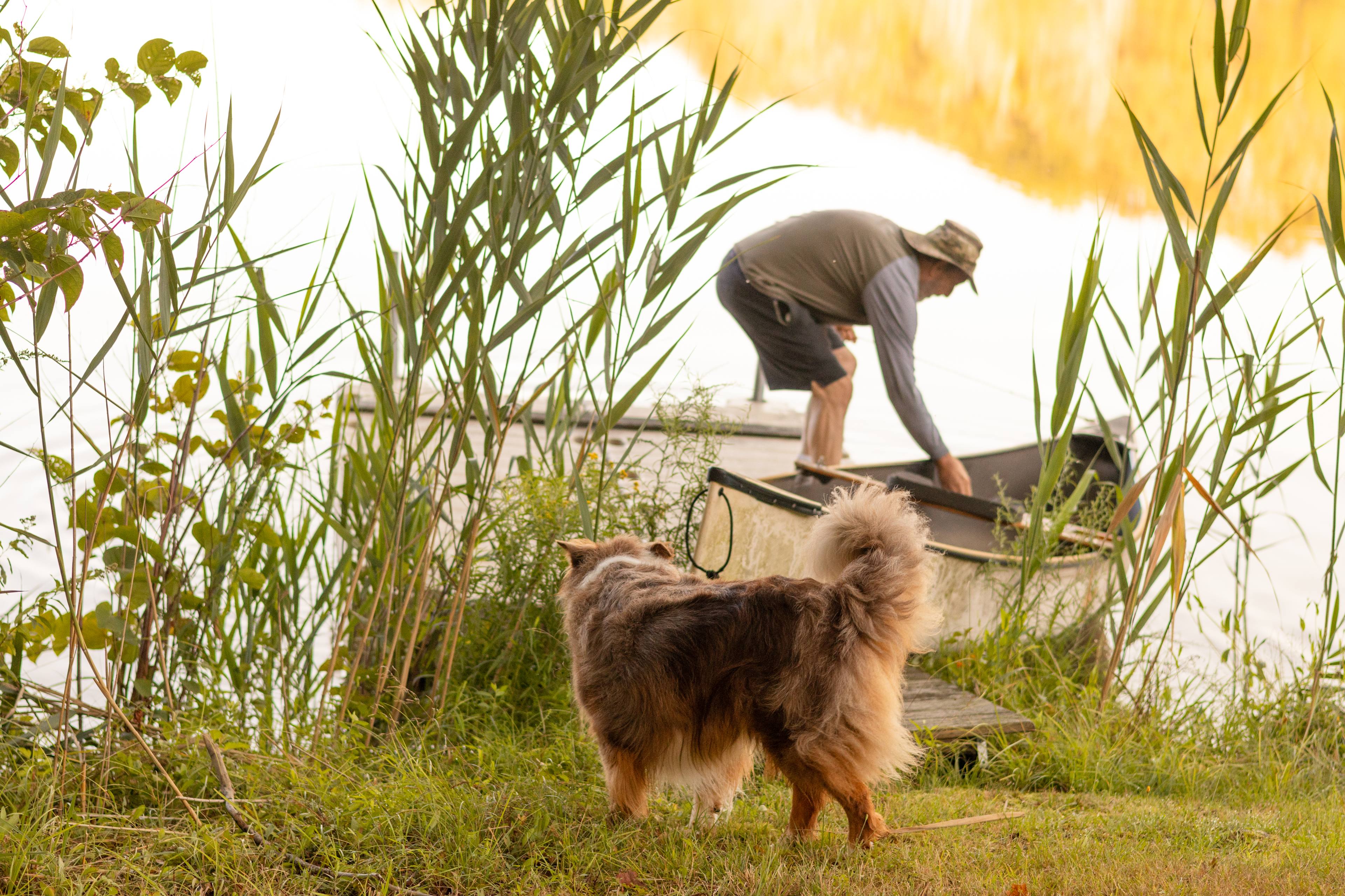 Getting read to launch the canoe, with Dot, Marks dog, curiously watching