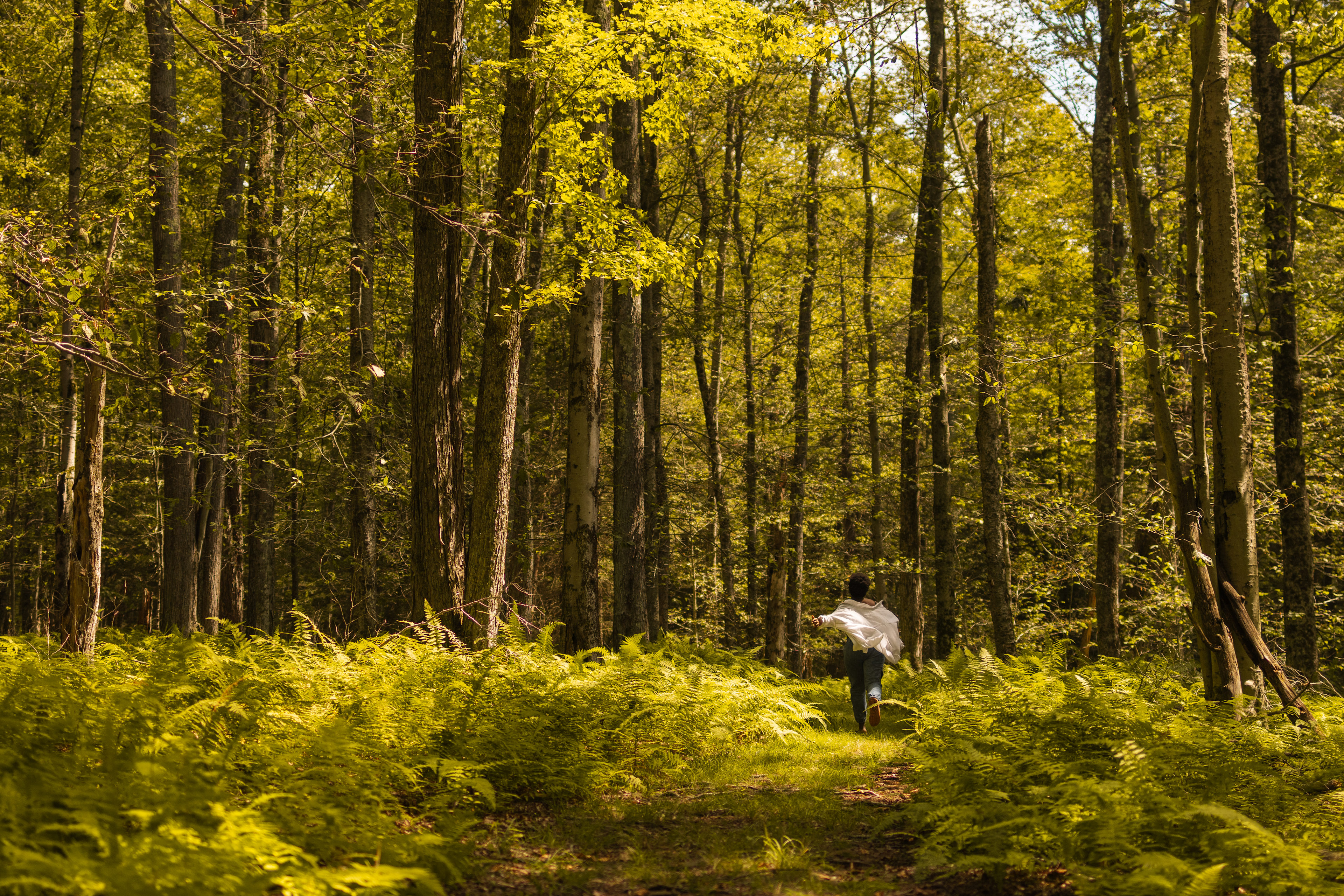 Wandering the wooded trail behind our tent