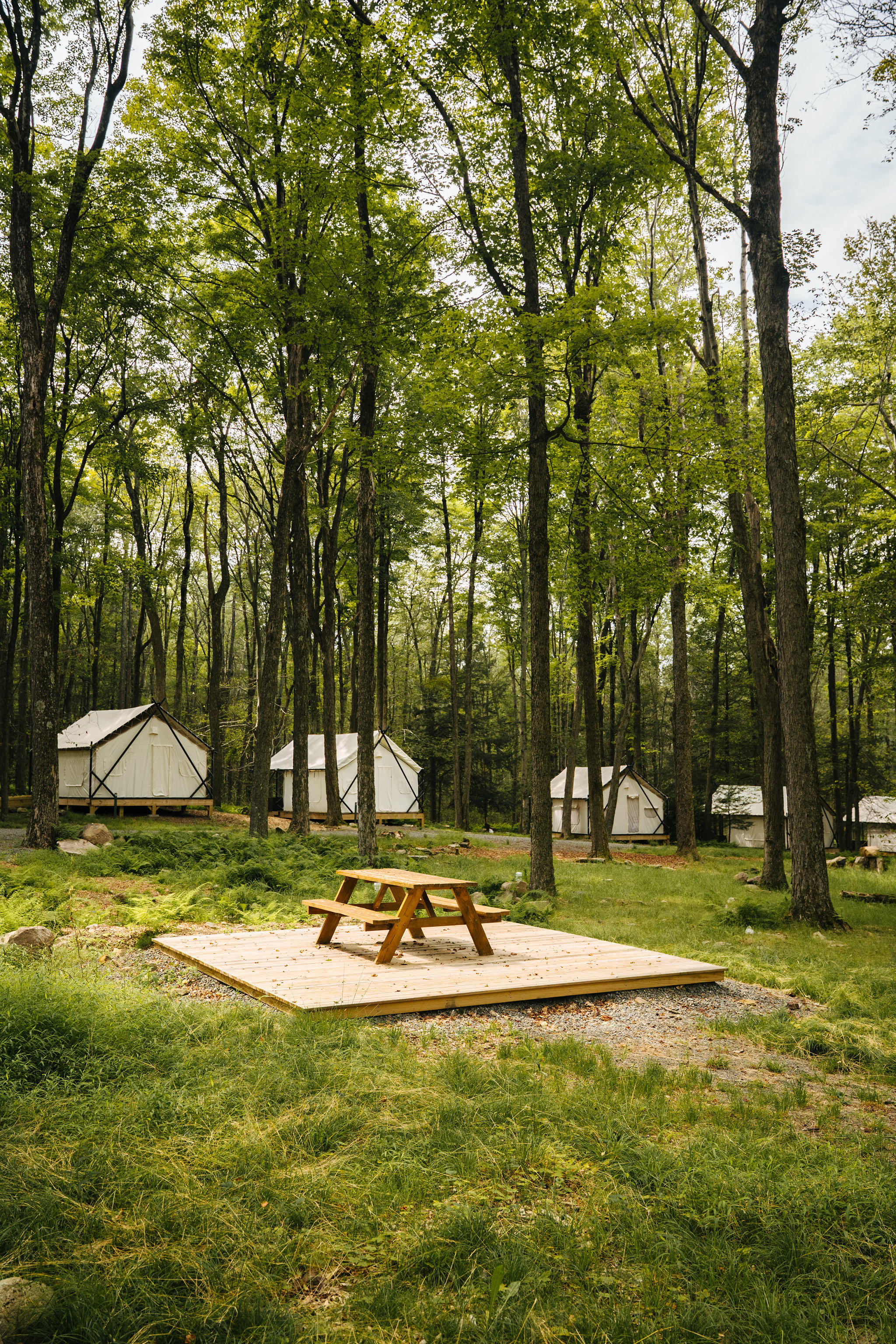 Ferncrest Campground – Modern Glamp