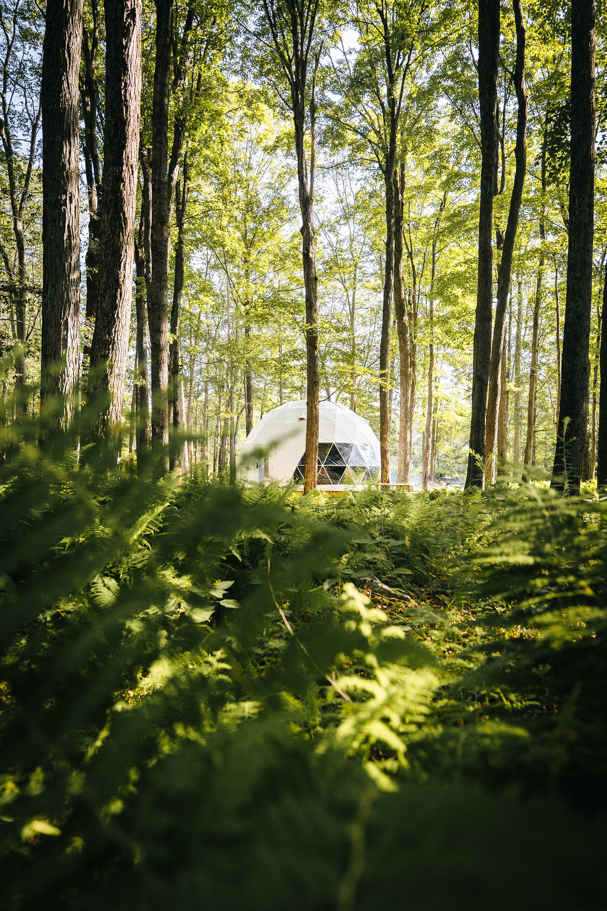 Modern Pocono Mountain Glamping