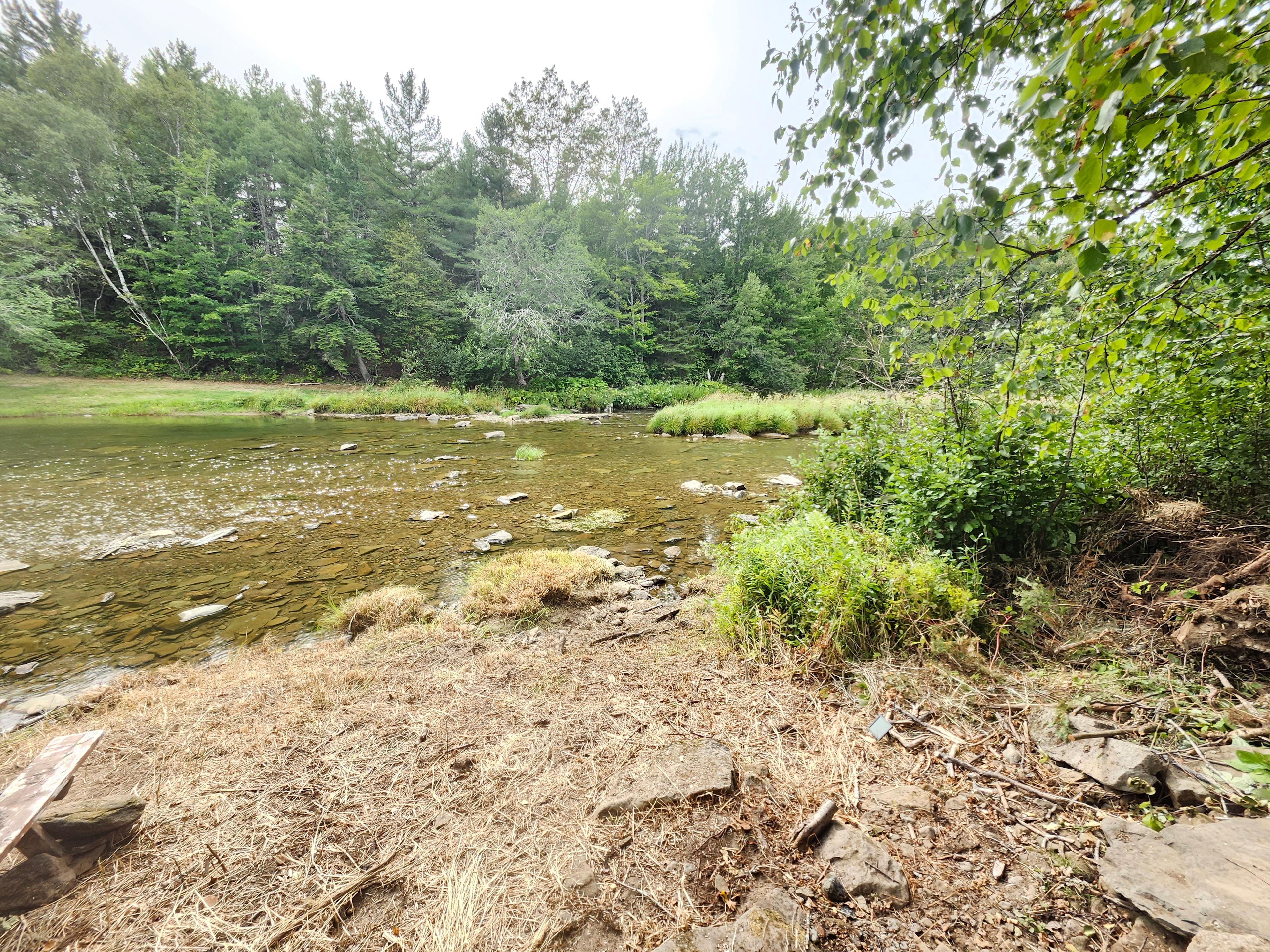 Old Mill Camp