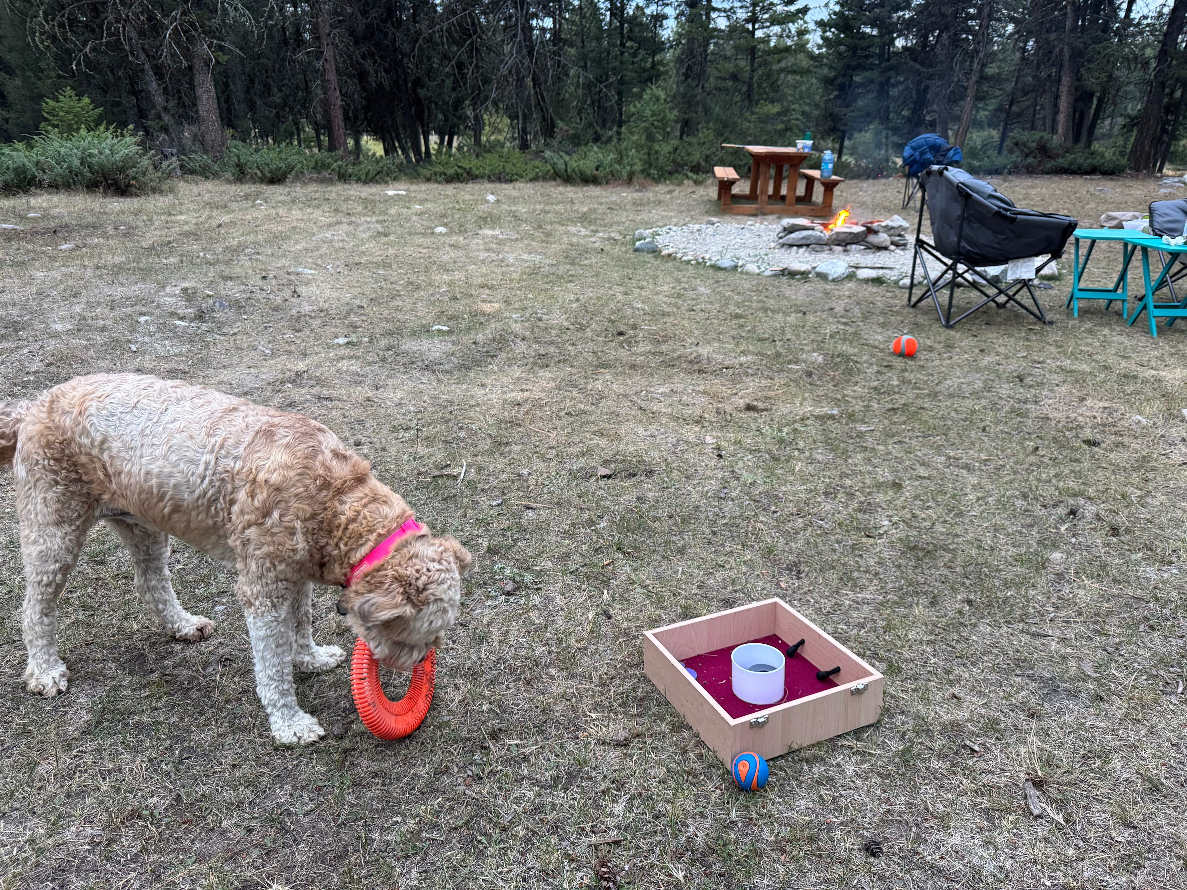 Lots of room for activities 