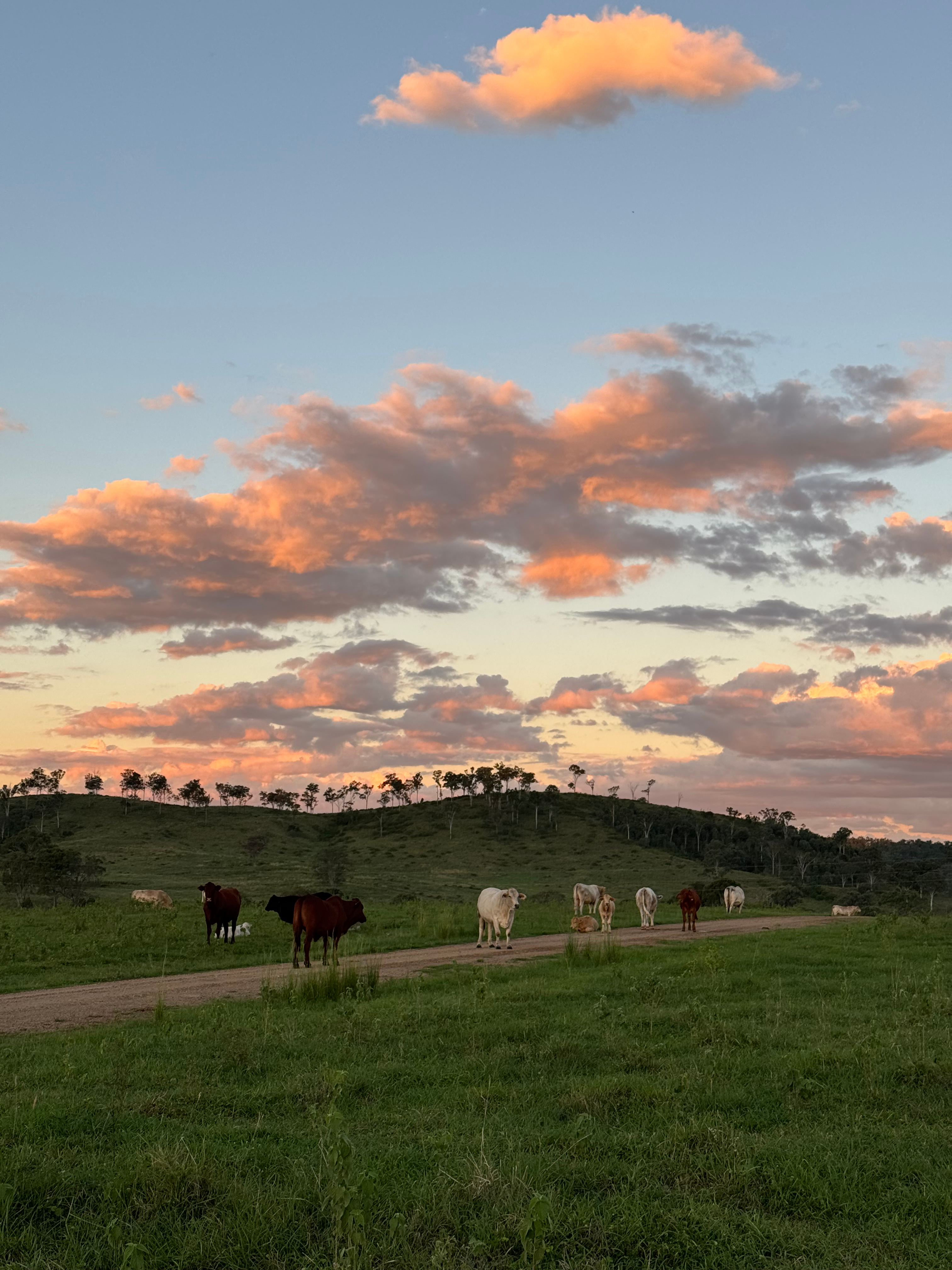 Harriets Rest - Creekside Camping