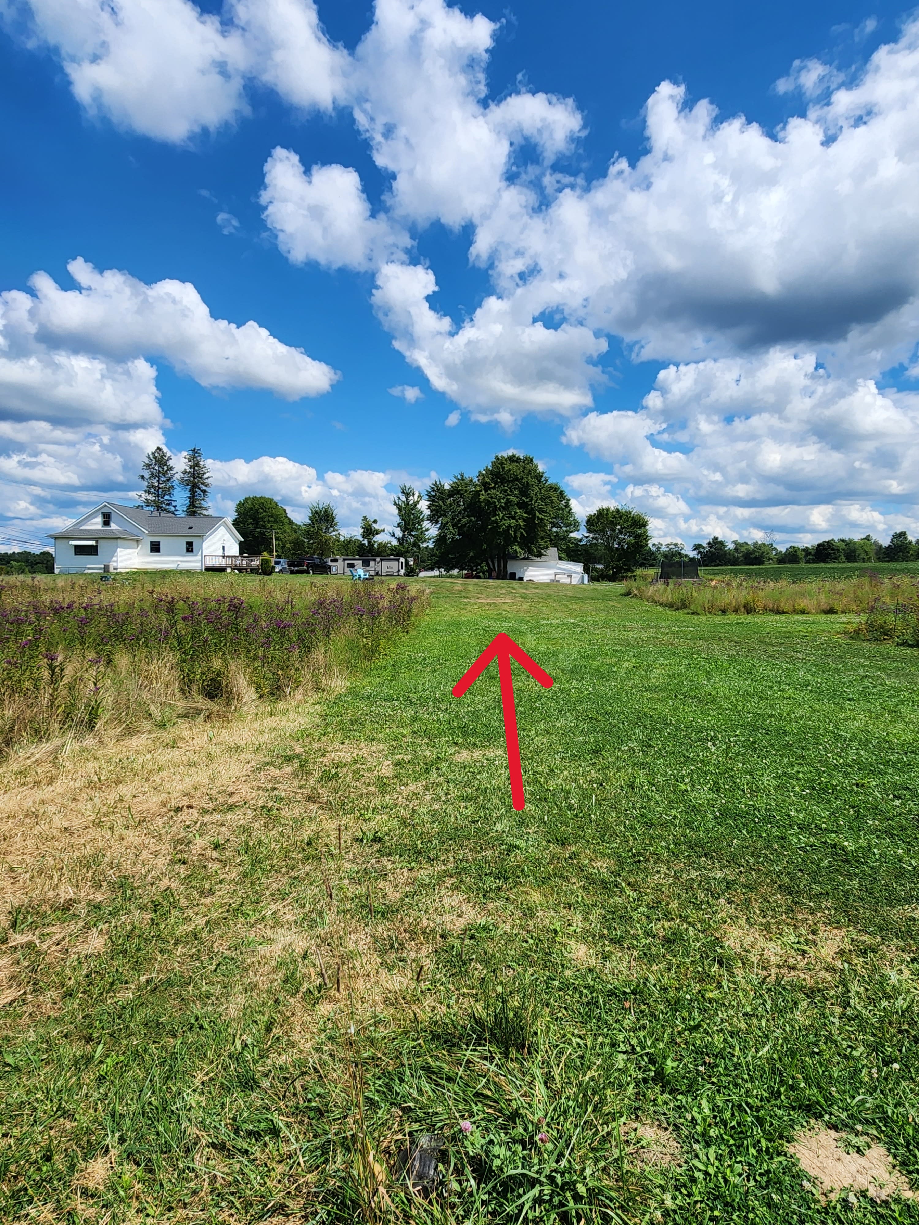 Hank and Ethel Homestead