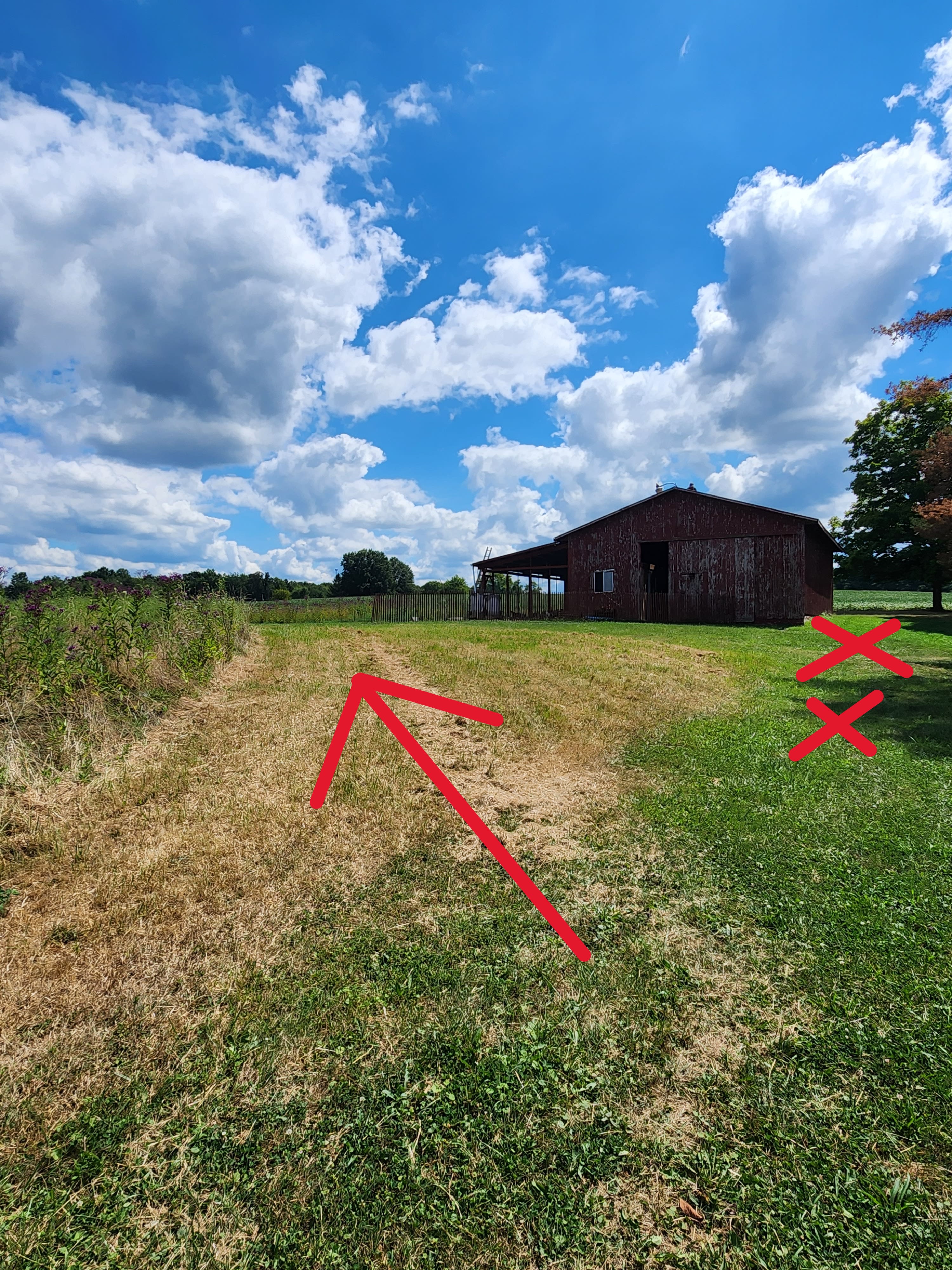 Hank and Ethel Homestead