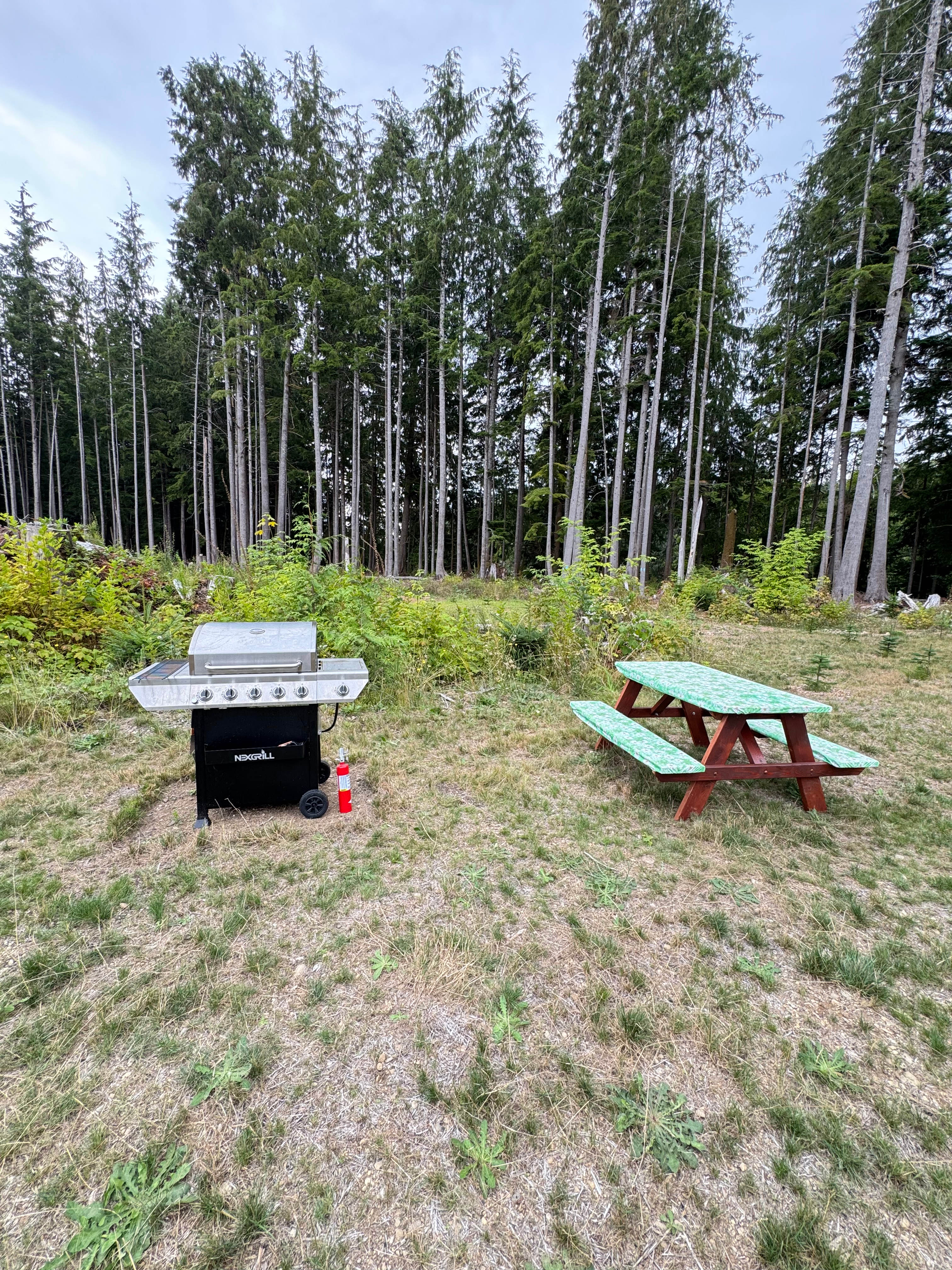 Punic table and BBQ grill available onsite 