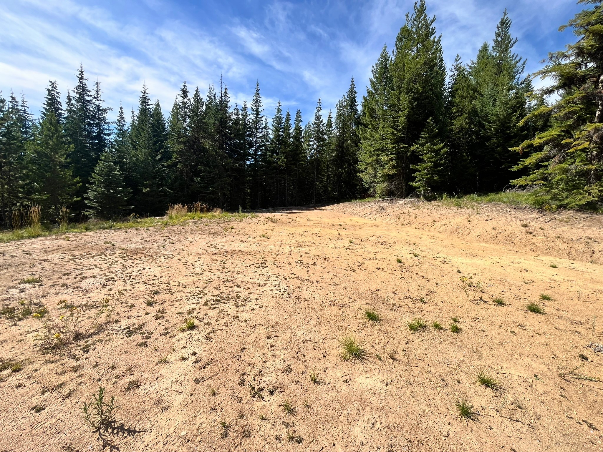 Your space is the back half of this clearing. Park towards the far end.