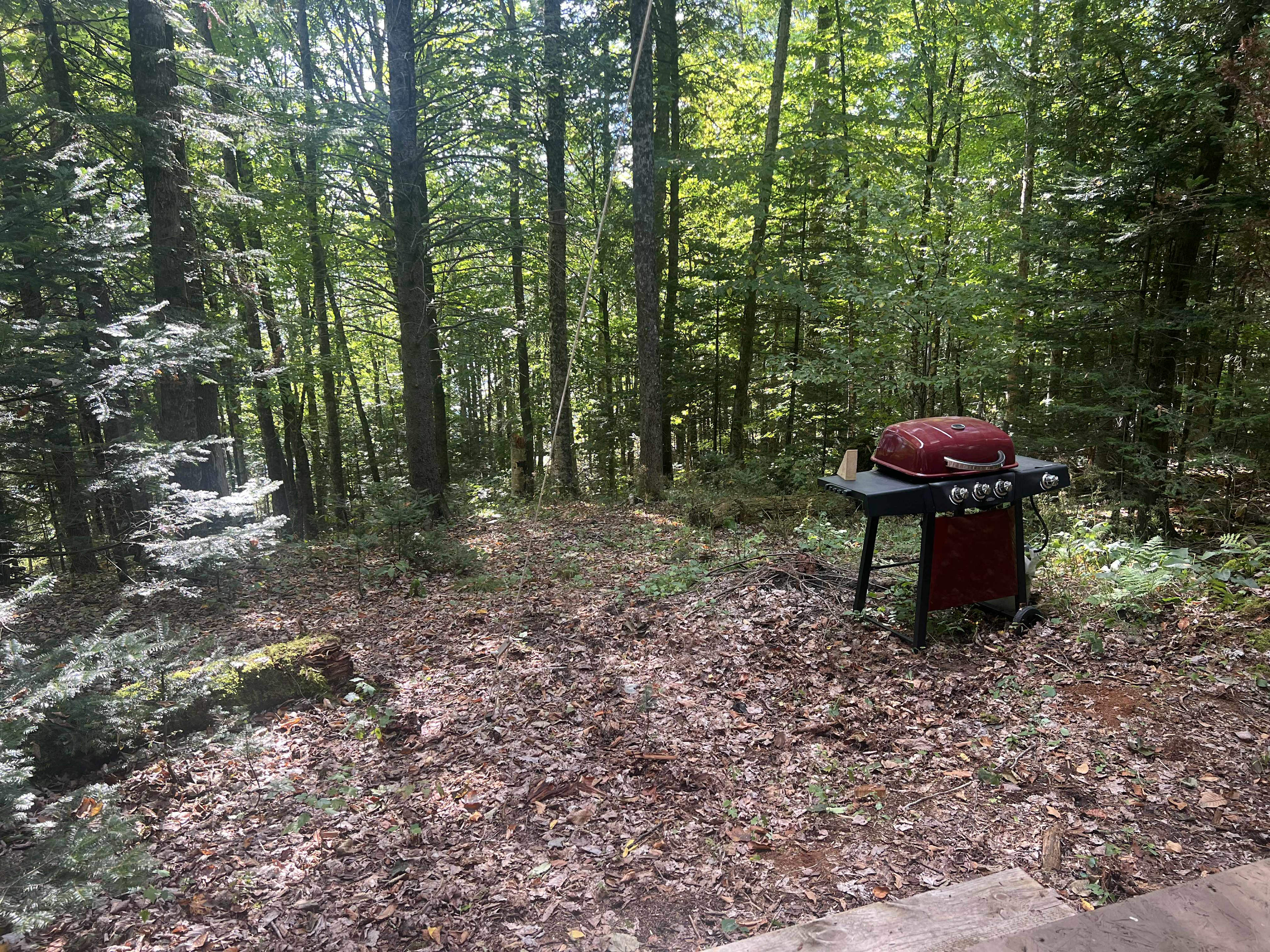 Brownington Pond Woods