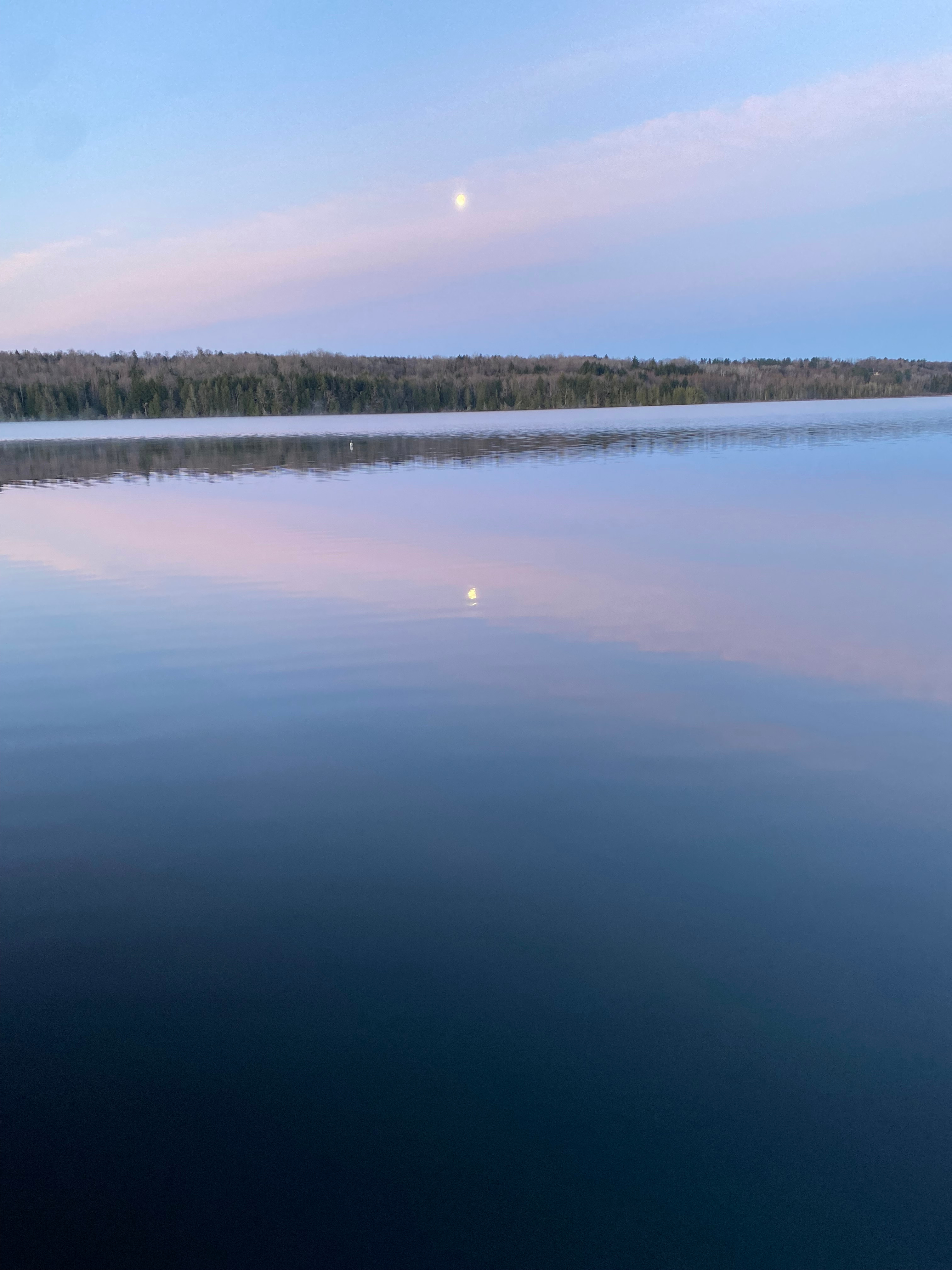 Brownington Pond Woods