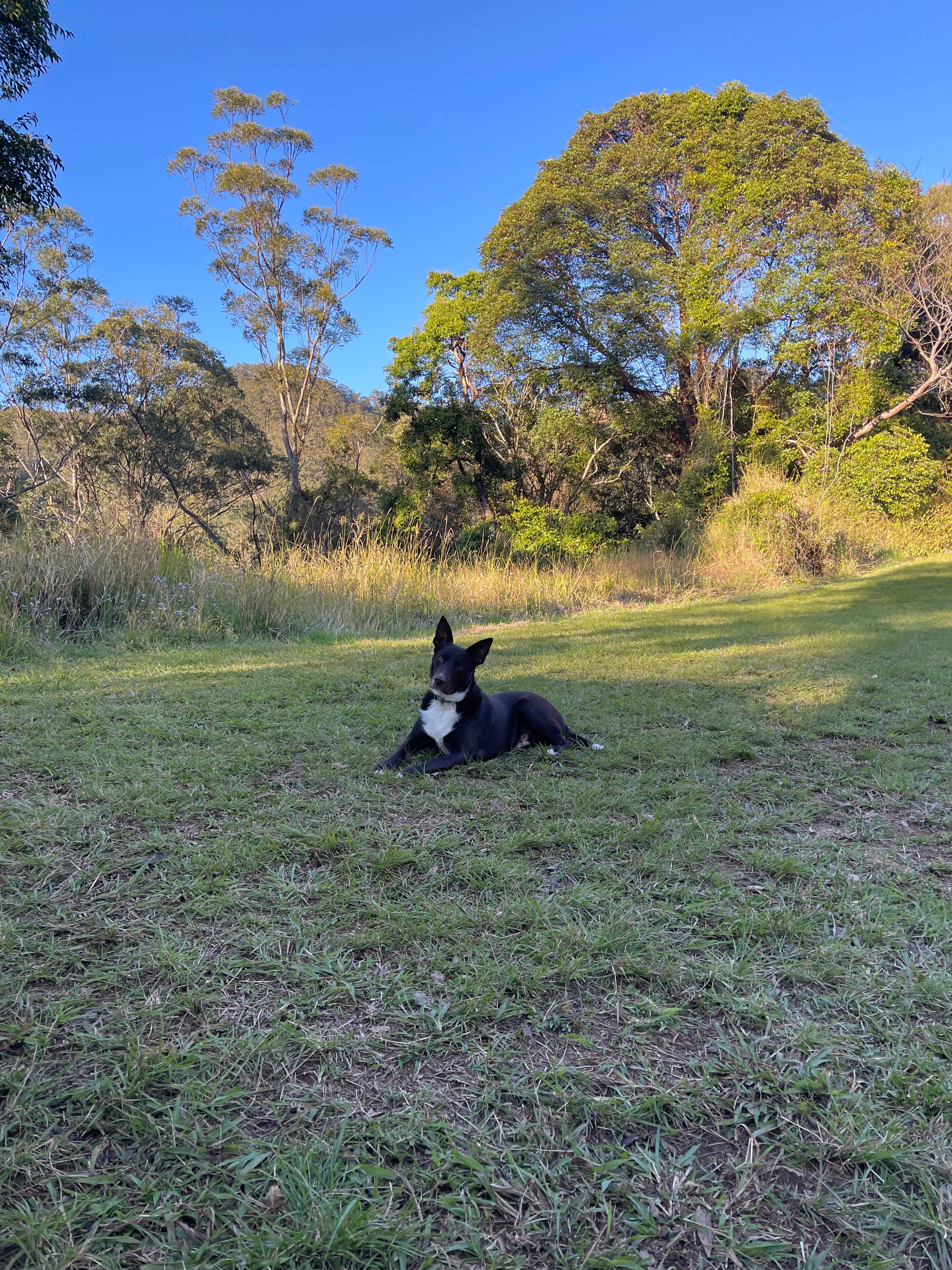 Magic of Mount Warning