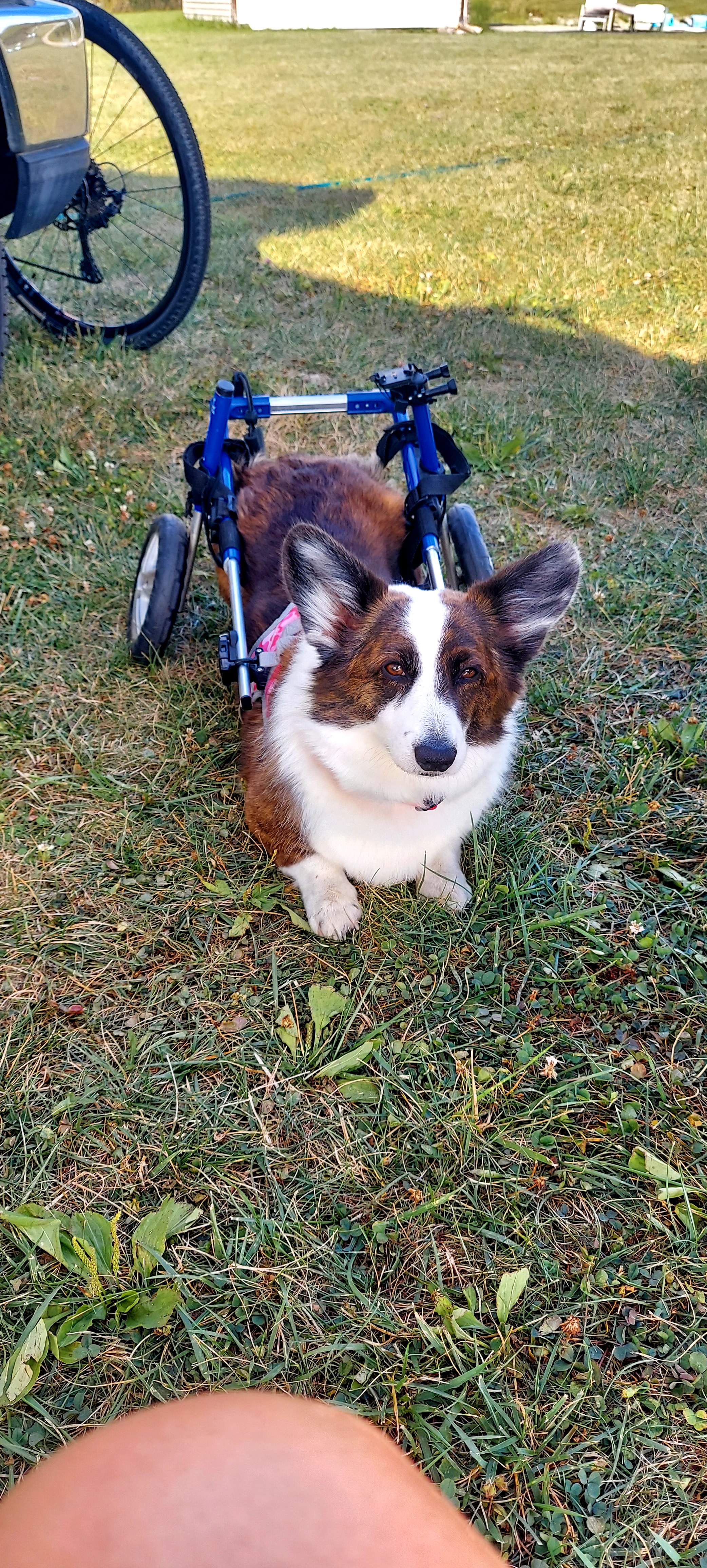 Barefoot Retreat - Star Host