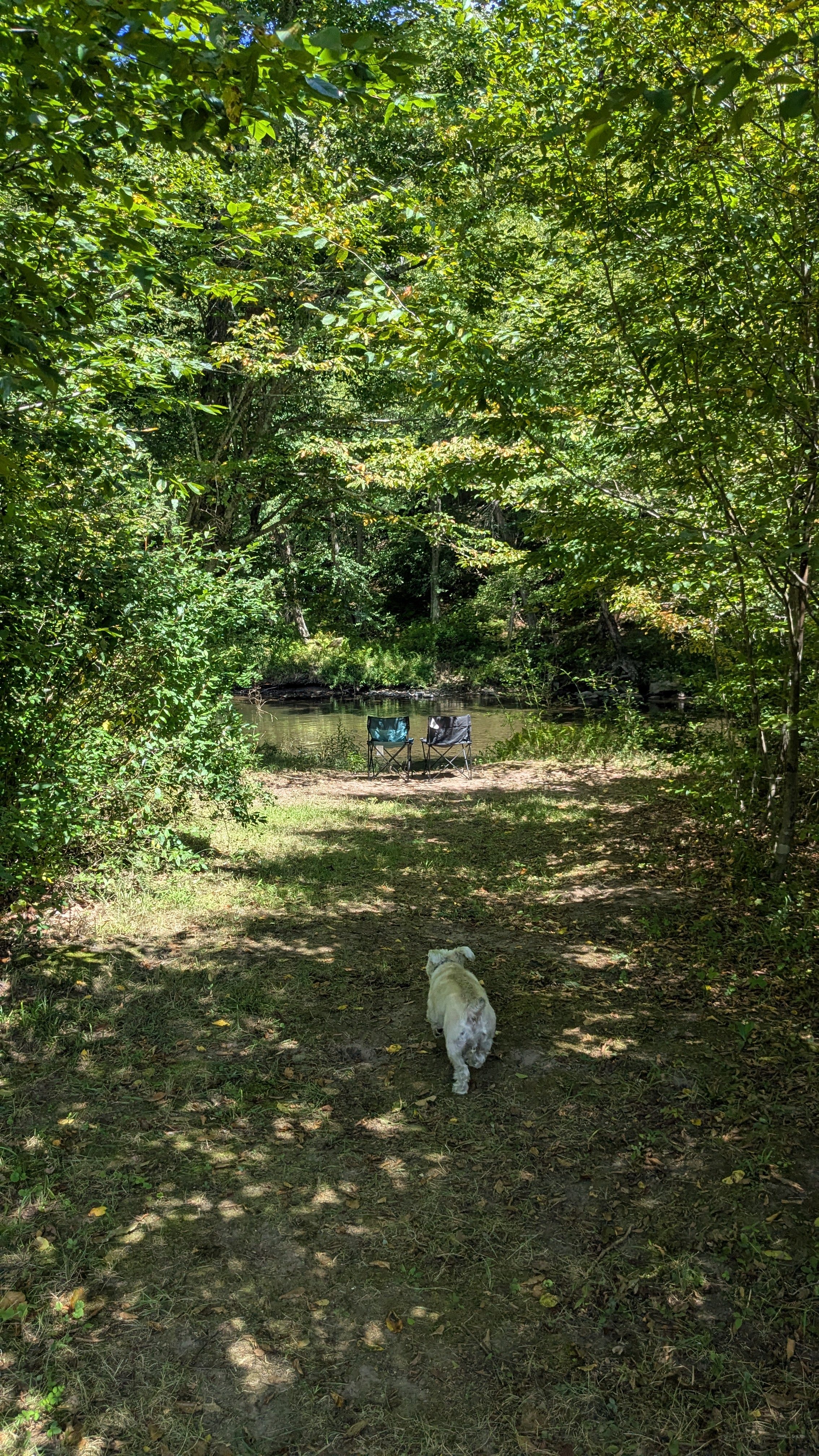 Camping along the Dyberry Creek