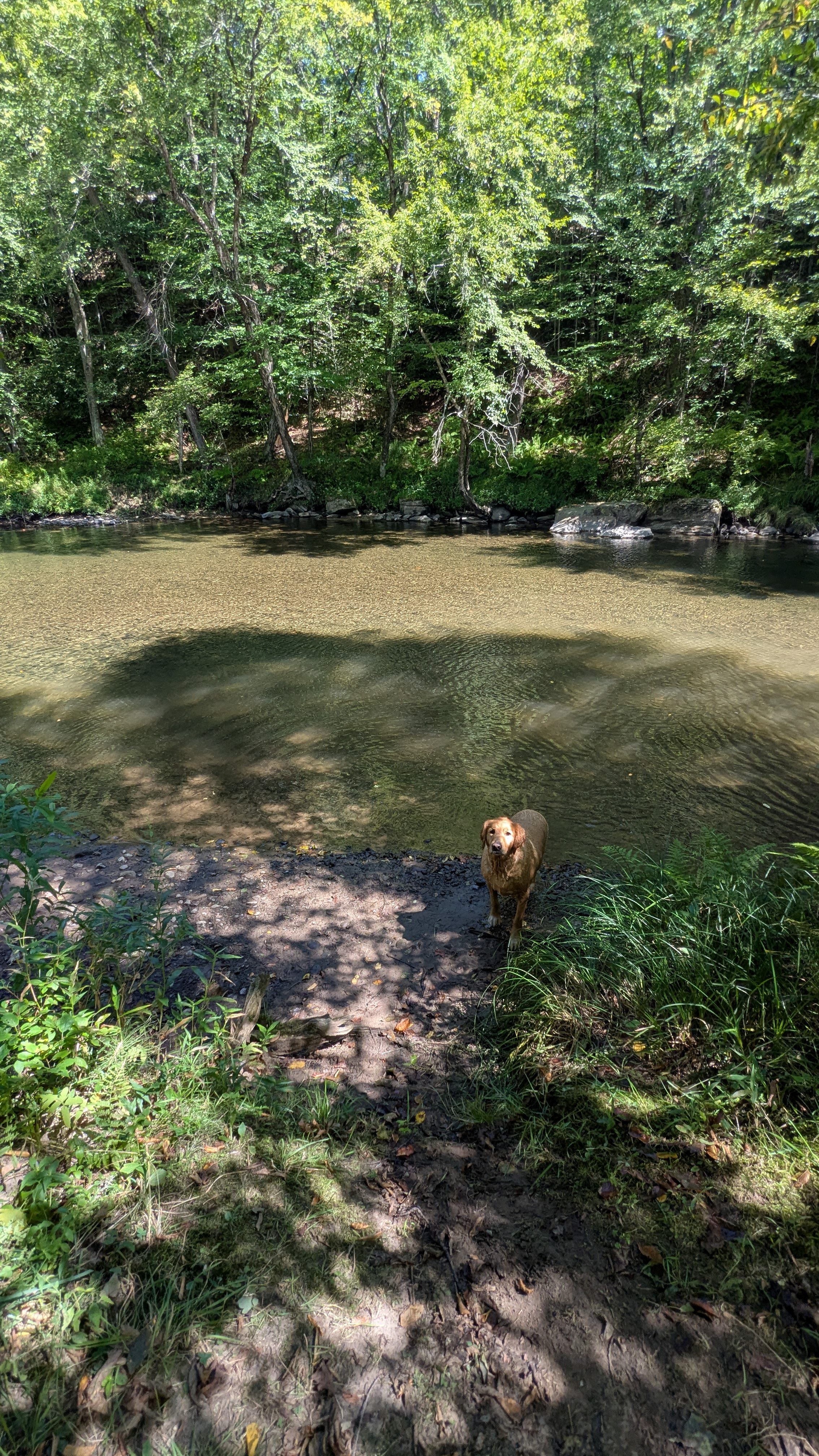 Camping along the Dyberry Creek