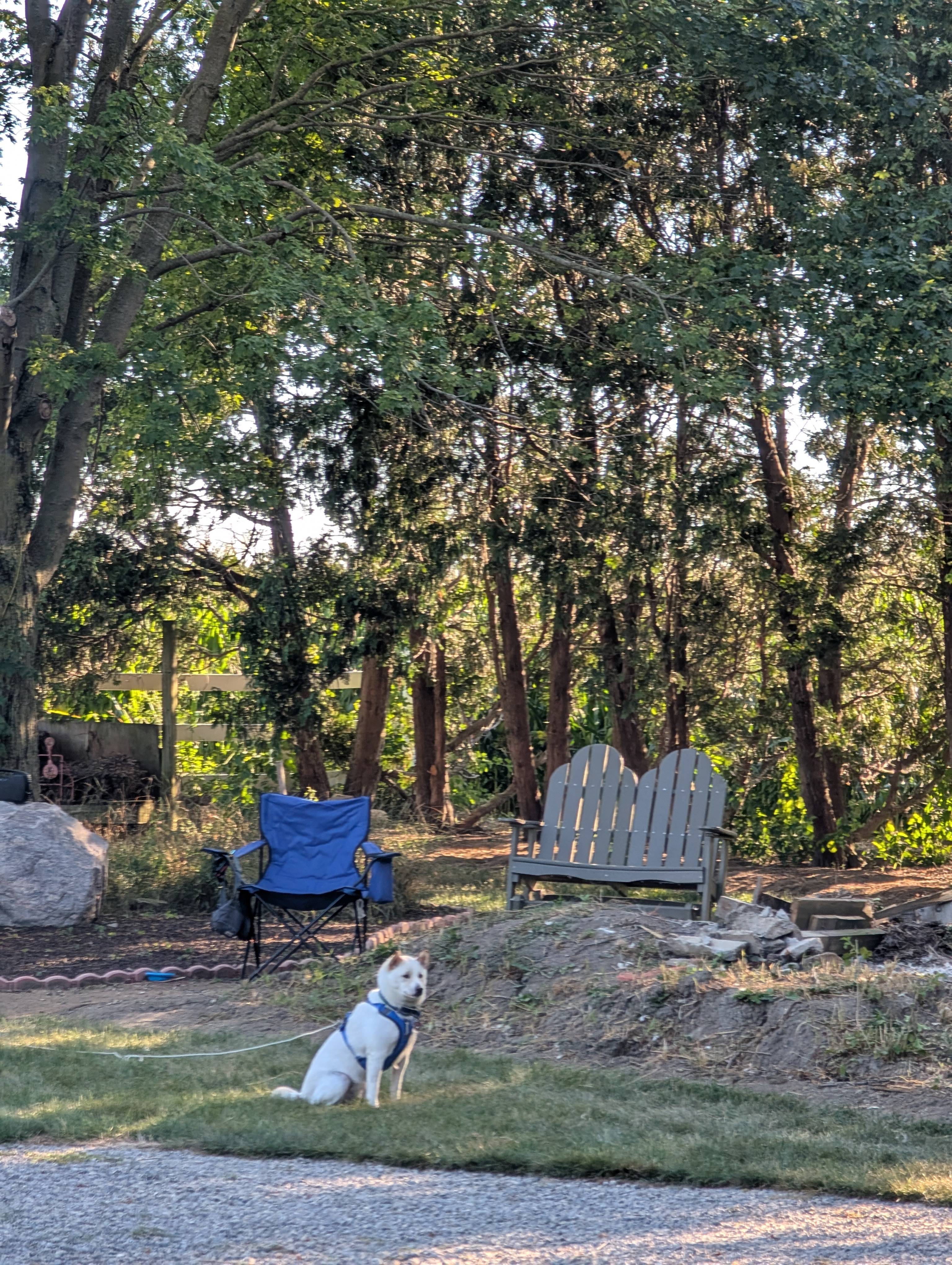 T&K Schoolhouse Camping