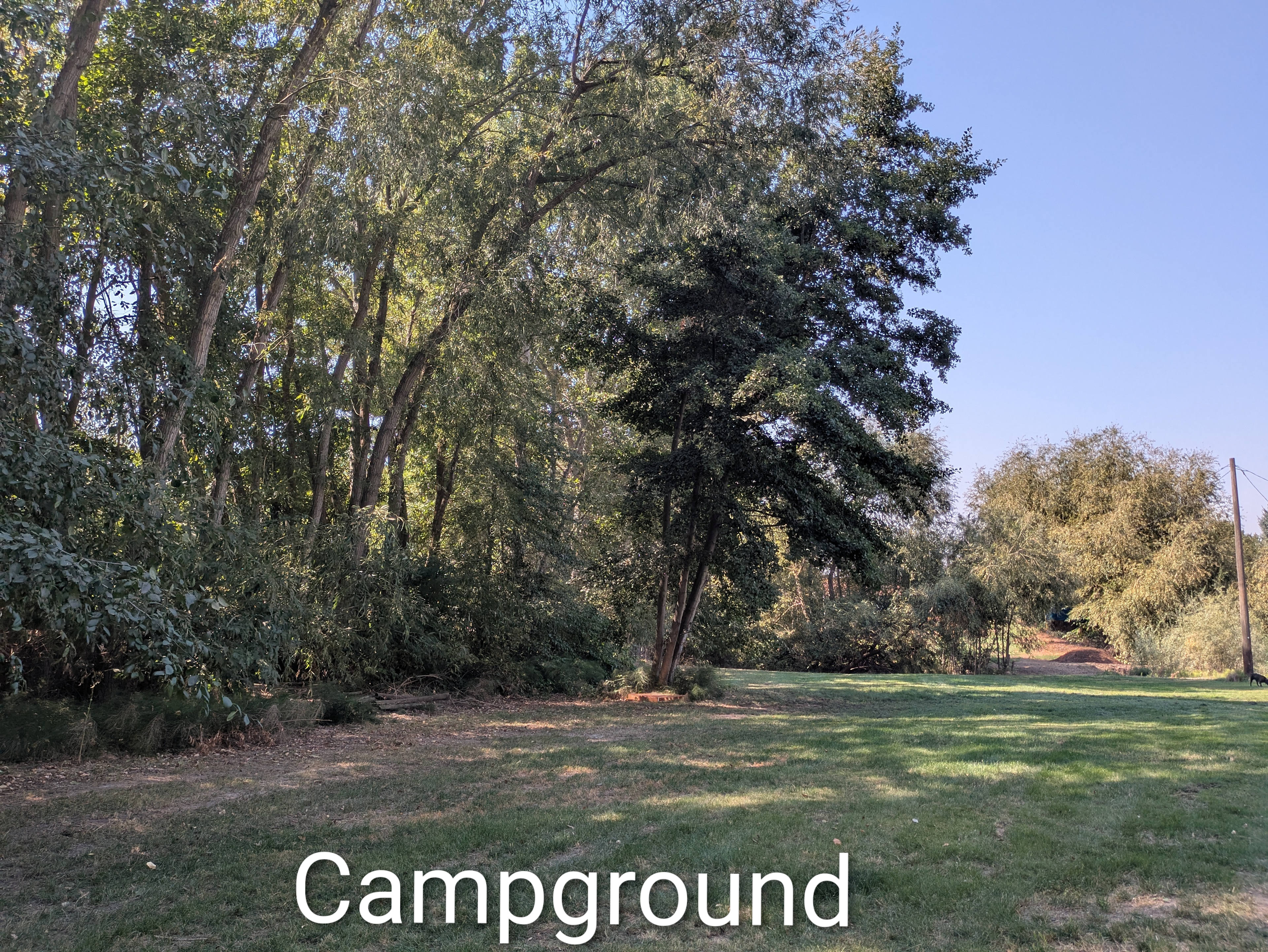 Trees on The Move Park