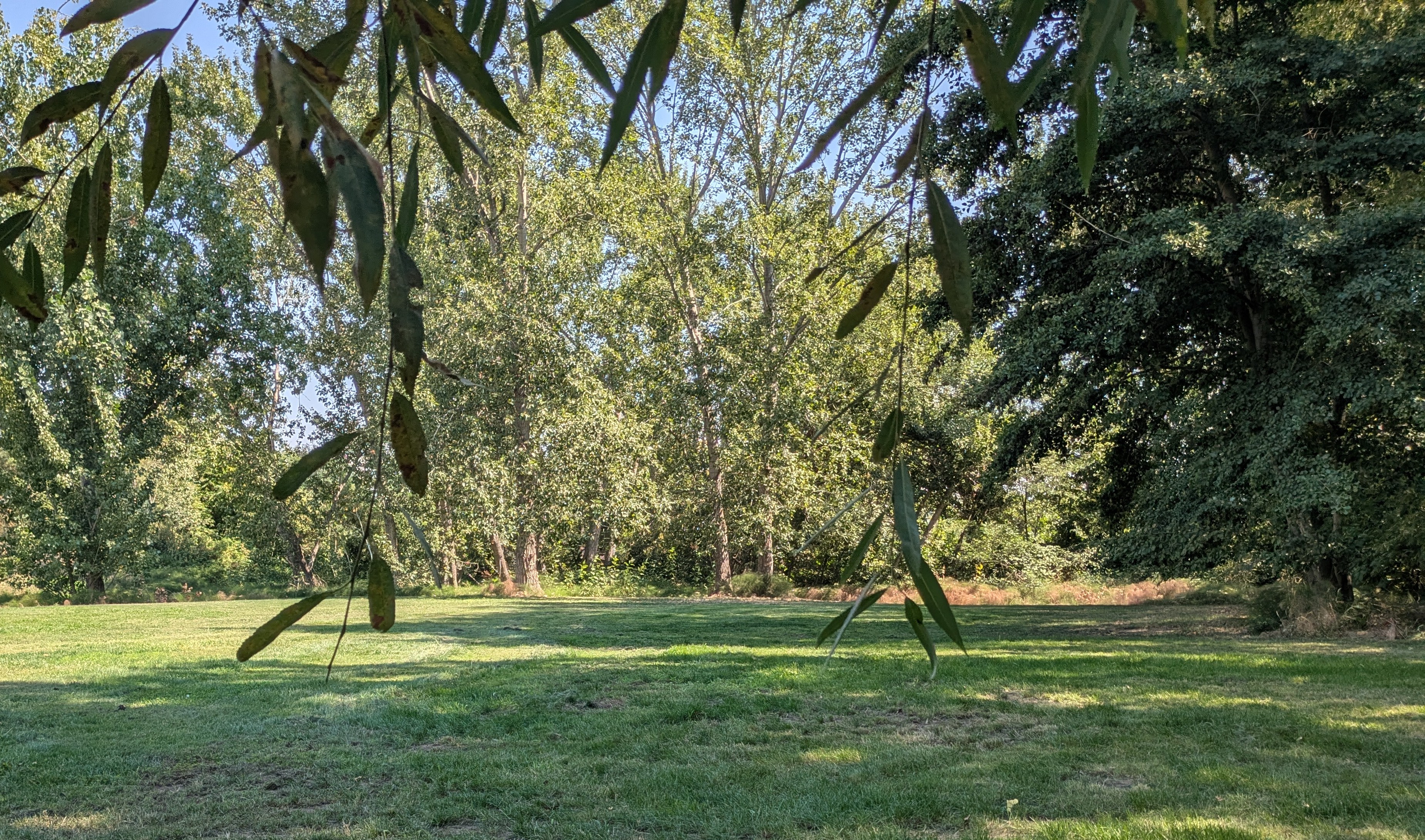 Trees on The Move Park