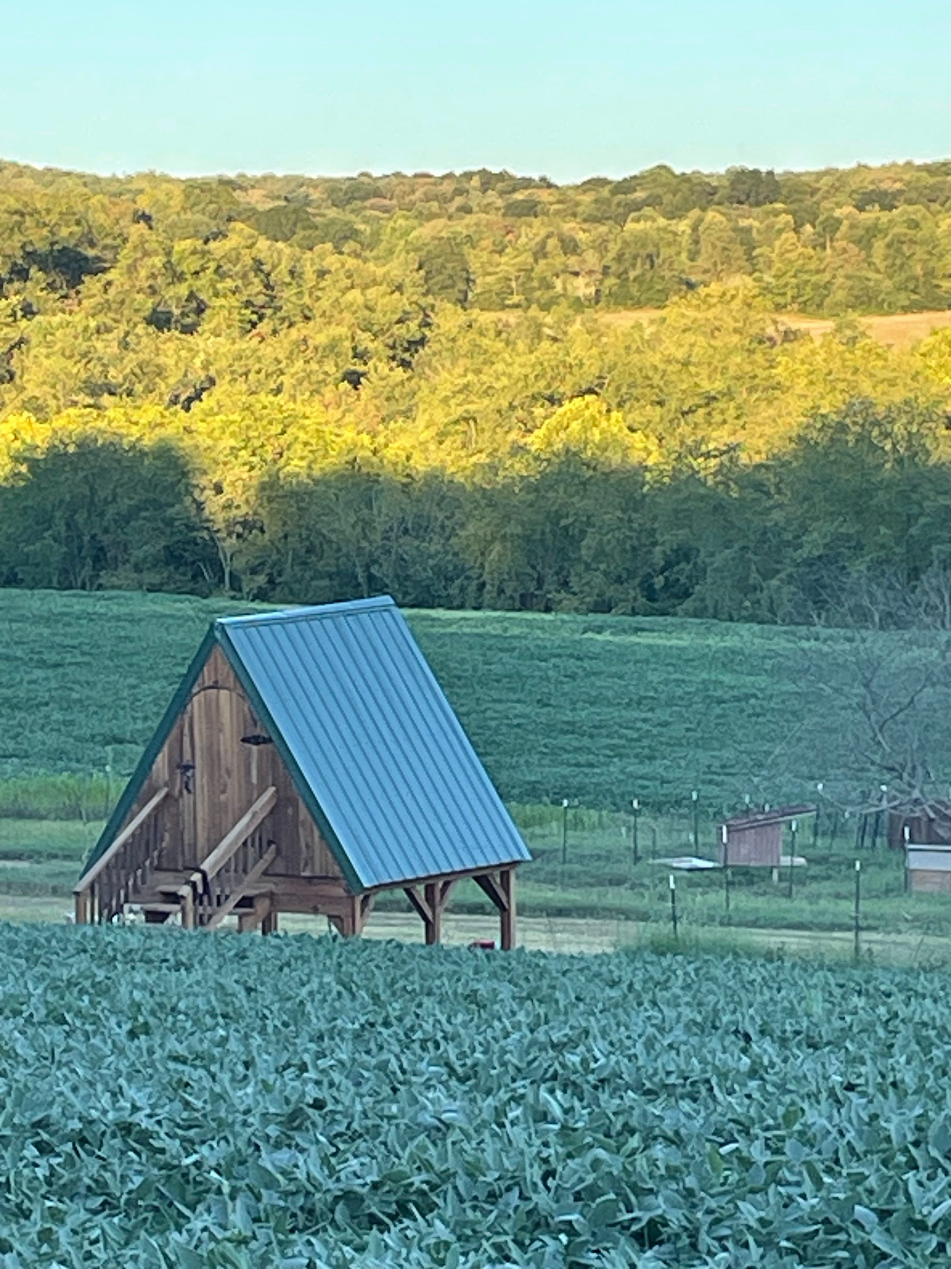 Nanny’s Rustic Retreat