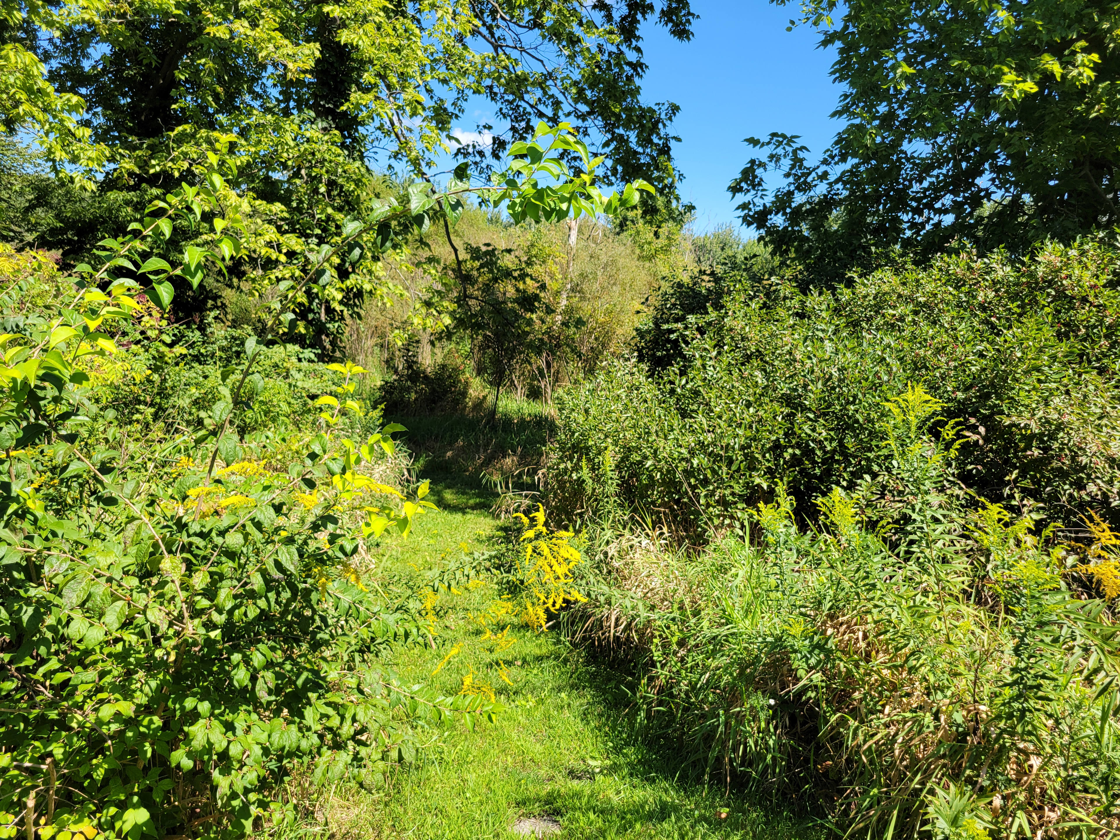 Walnut Woods Farm