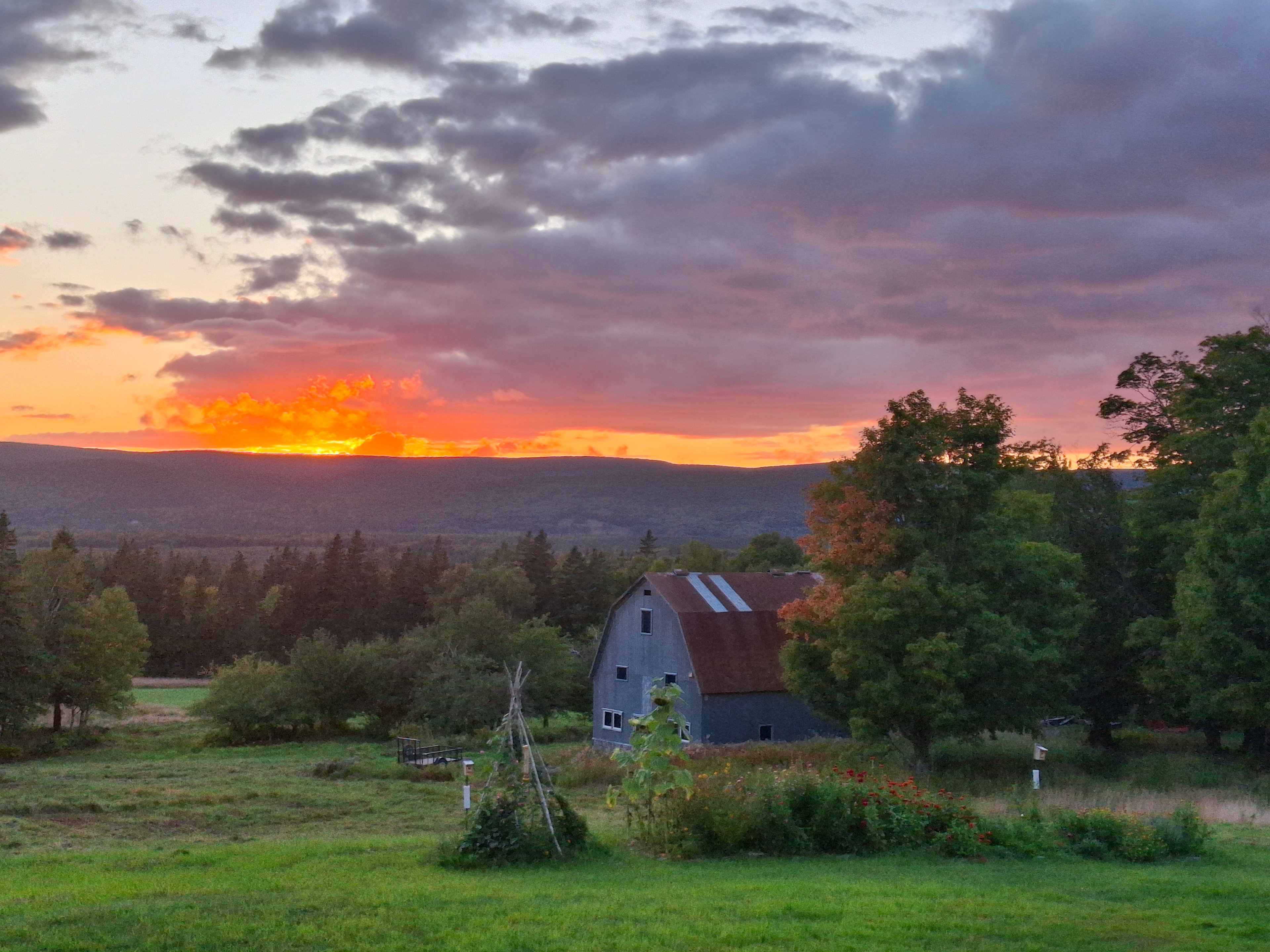 Fainne Crann Camping