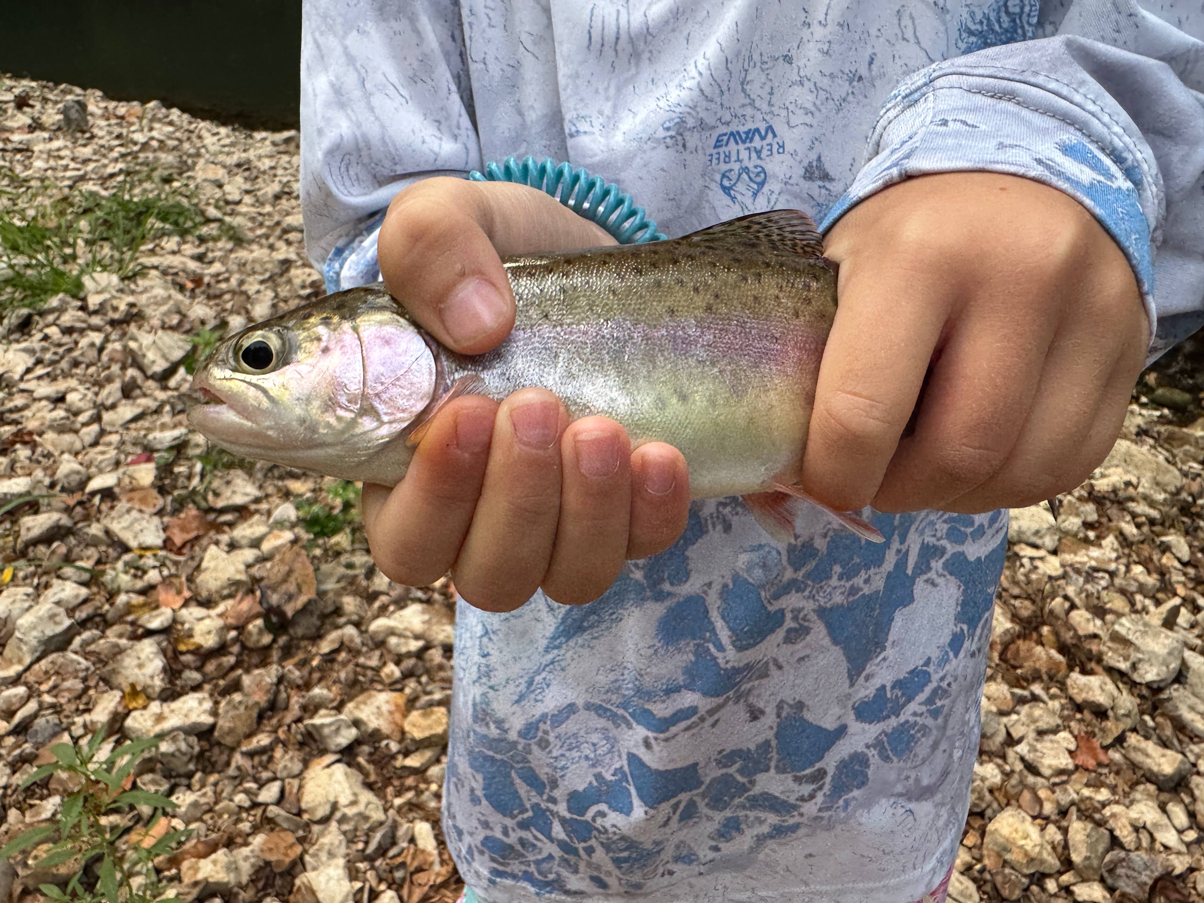 Buehler Farms Glamp site 1