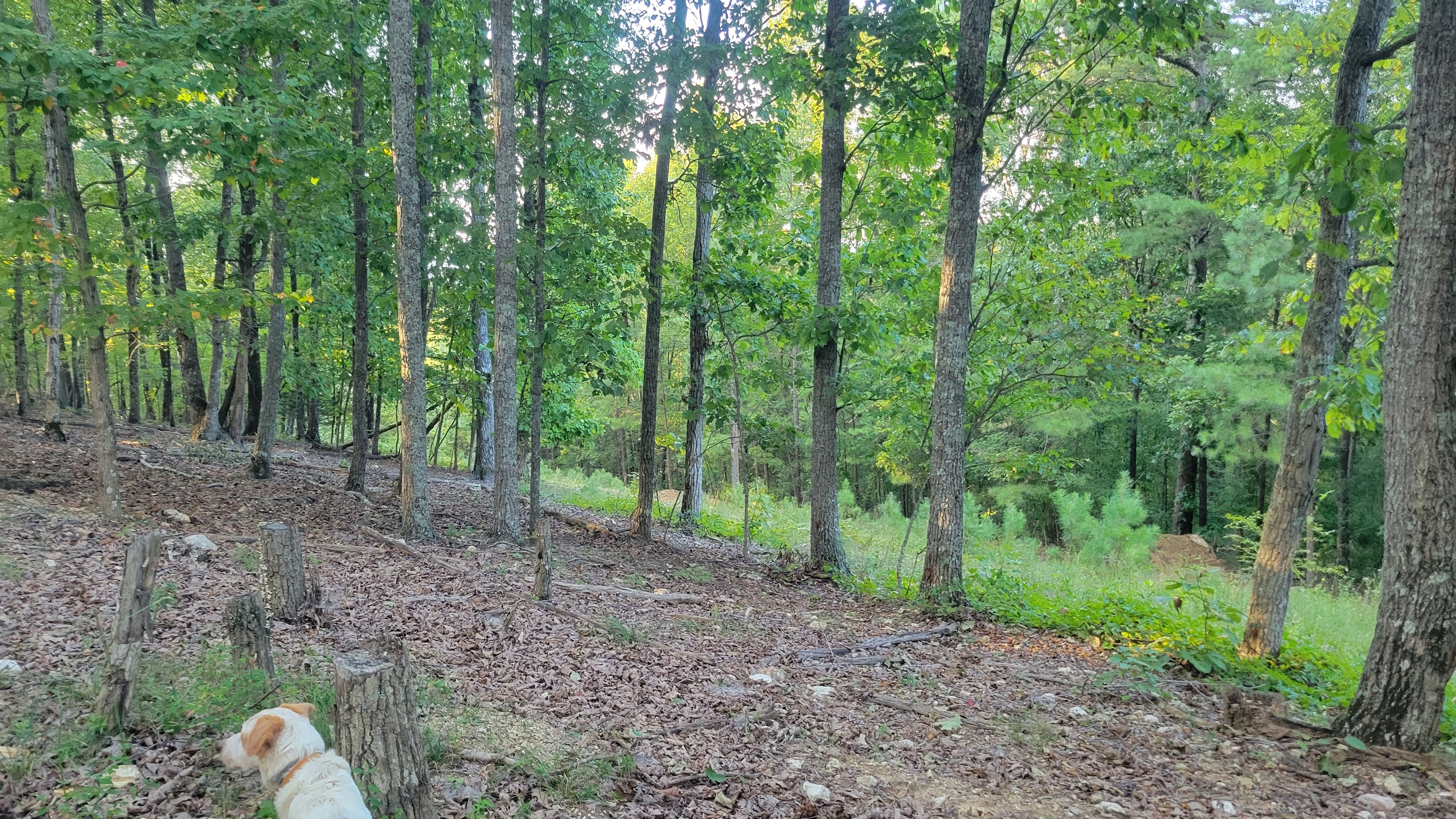 The Rock Ridge Retreat