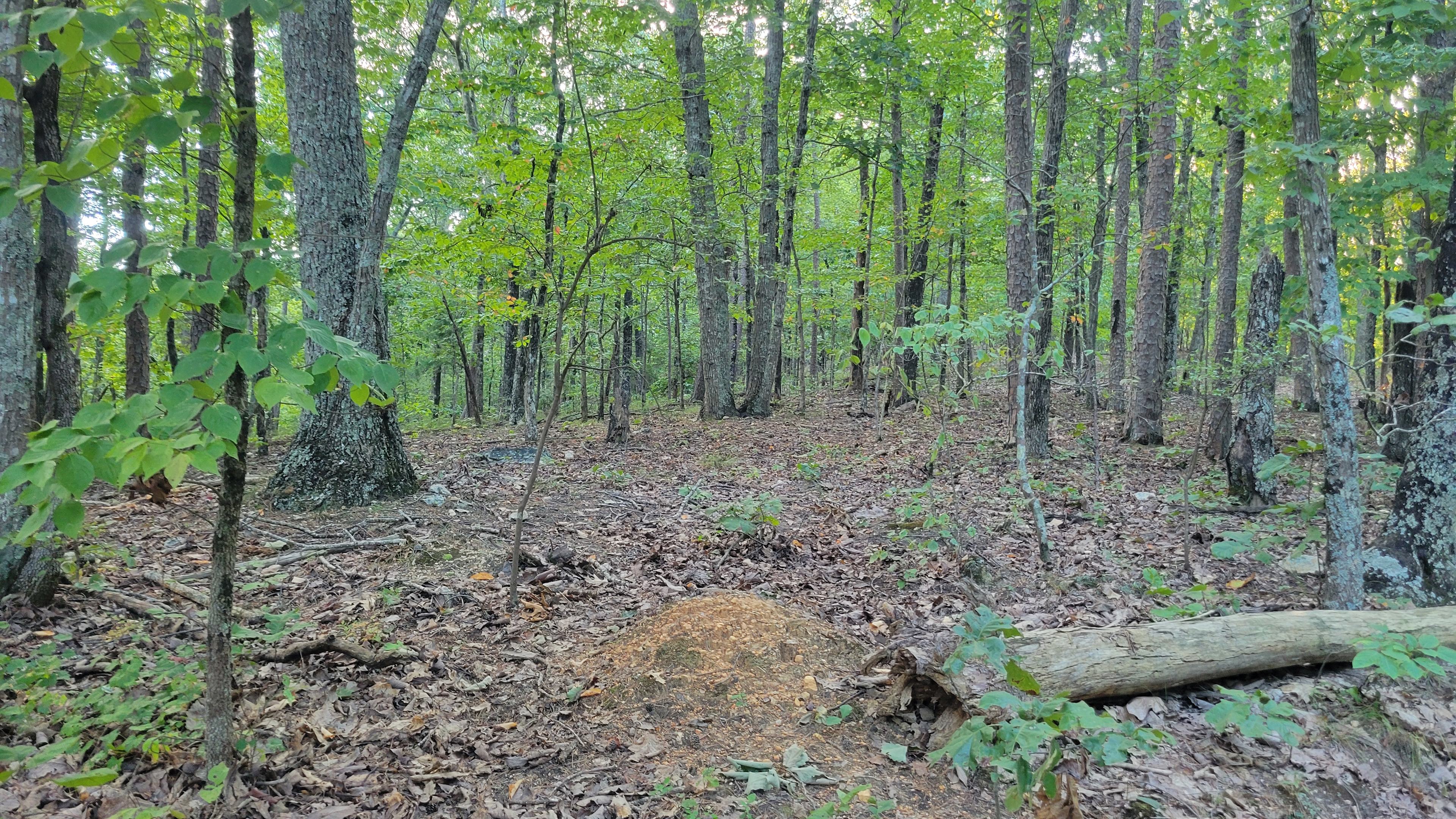 The Rock Ridge Retreat