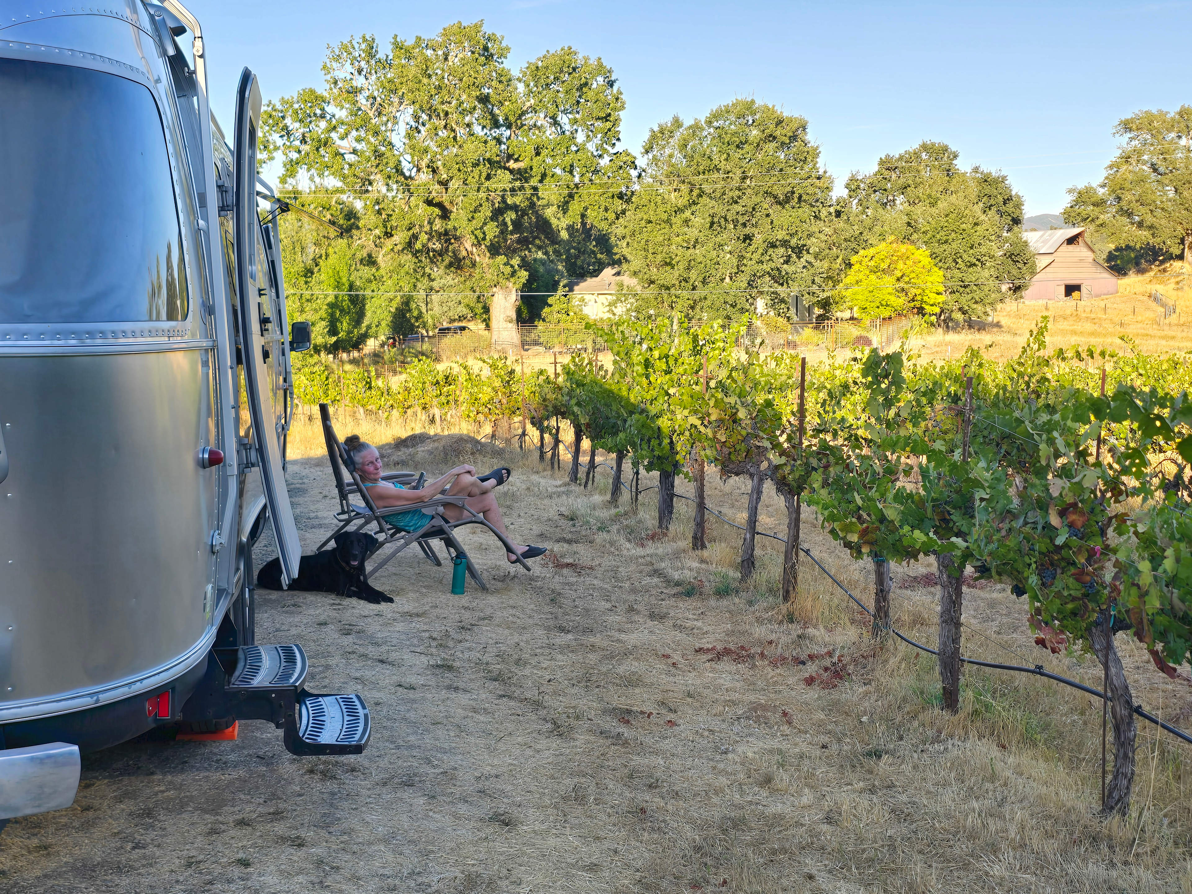 Vineyard Camping with Dome Access