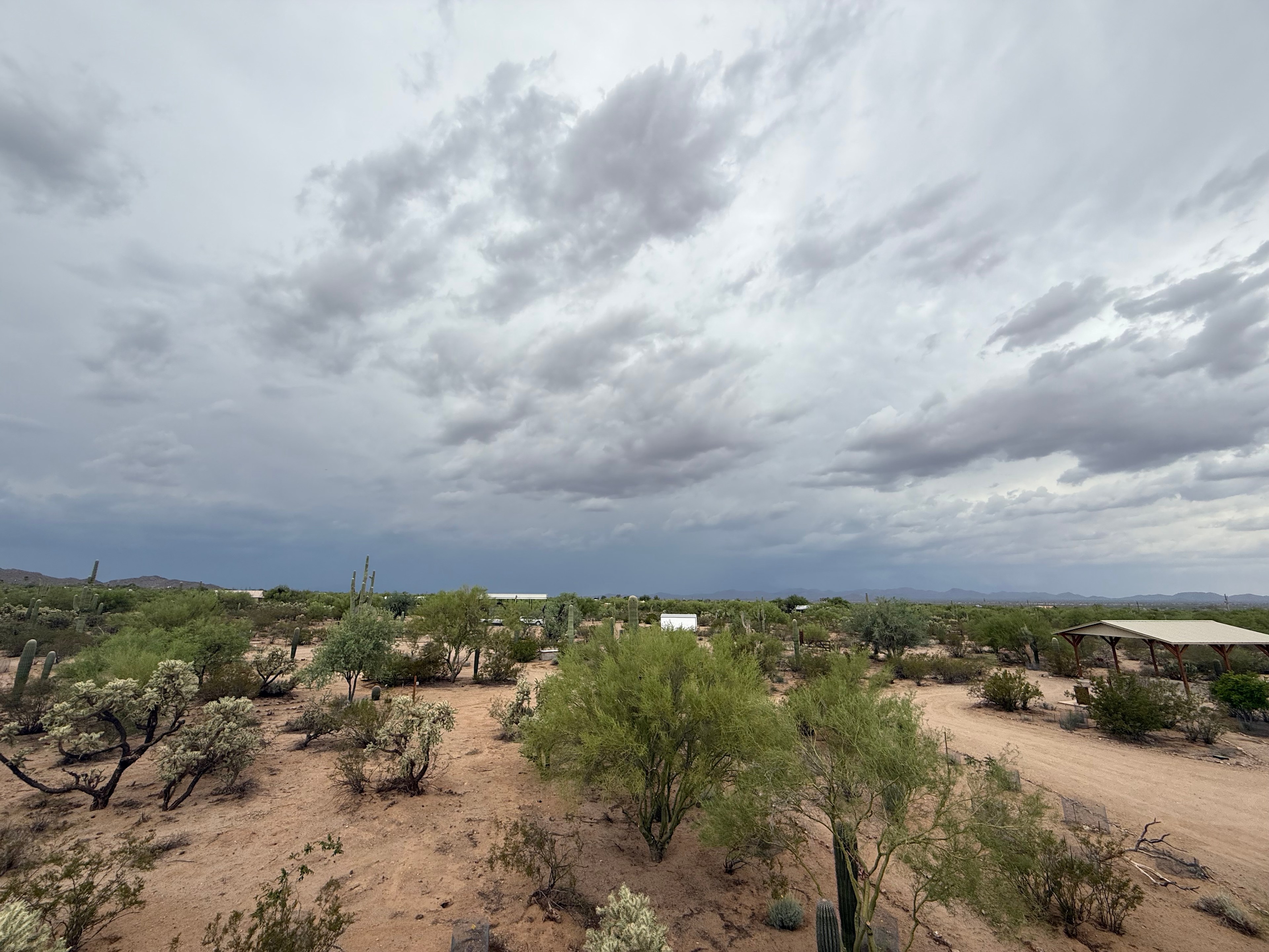 Sunset Saguaro Retreat