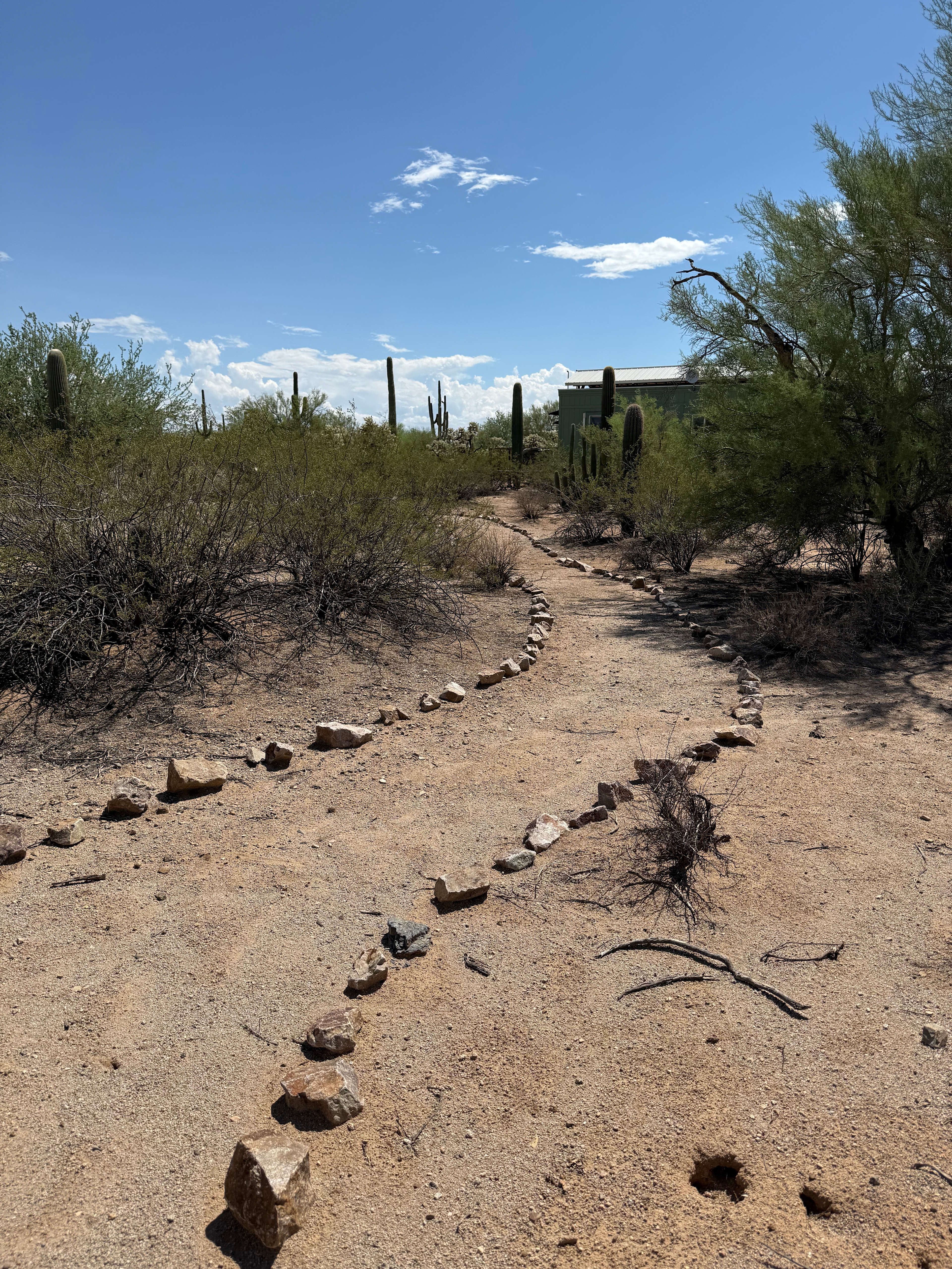 Sunset Saguaro Retreat