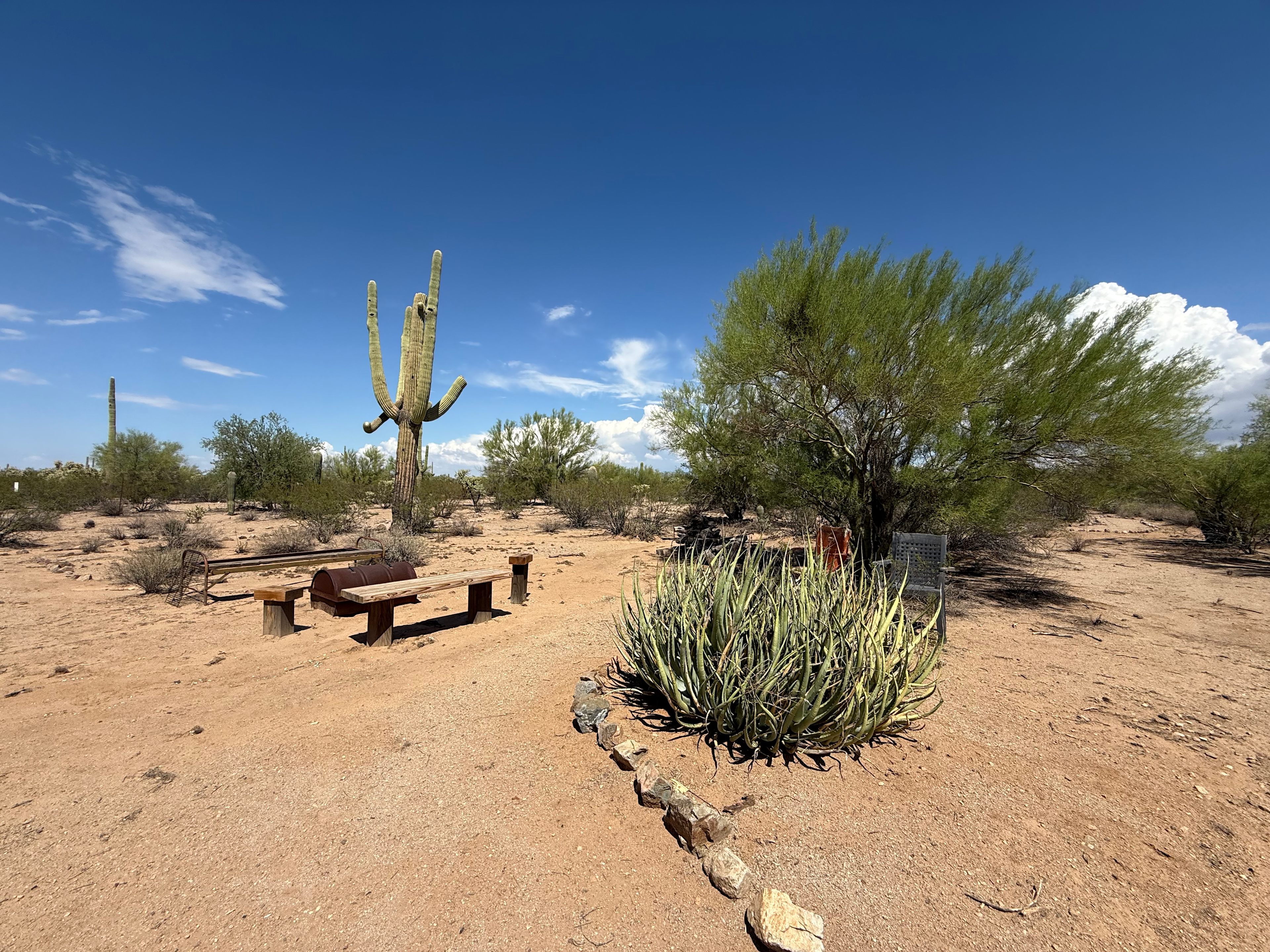 Sunset Saguaro Retreat