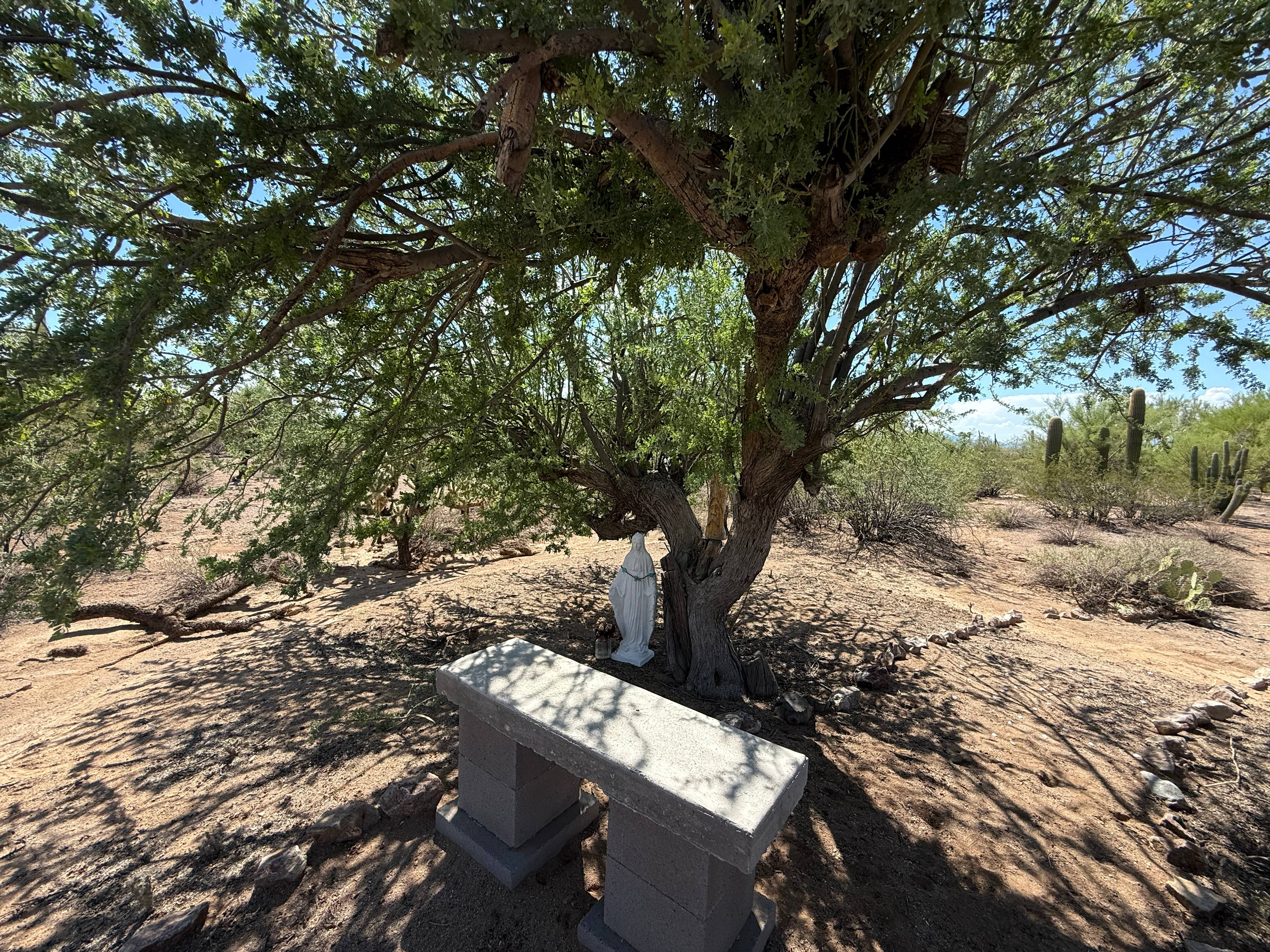 Sunset Saguaro Retreat