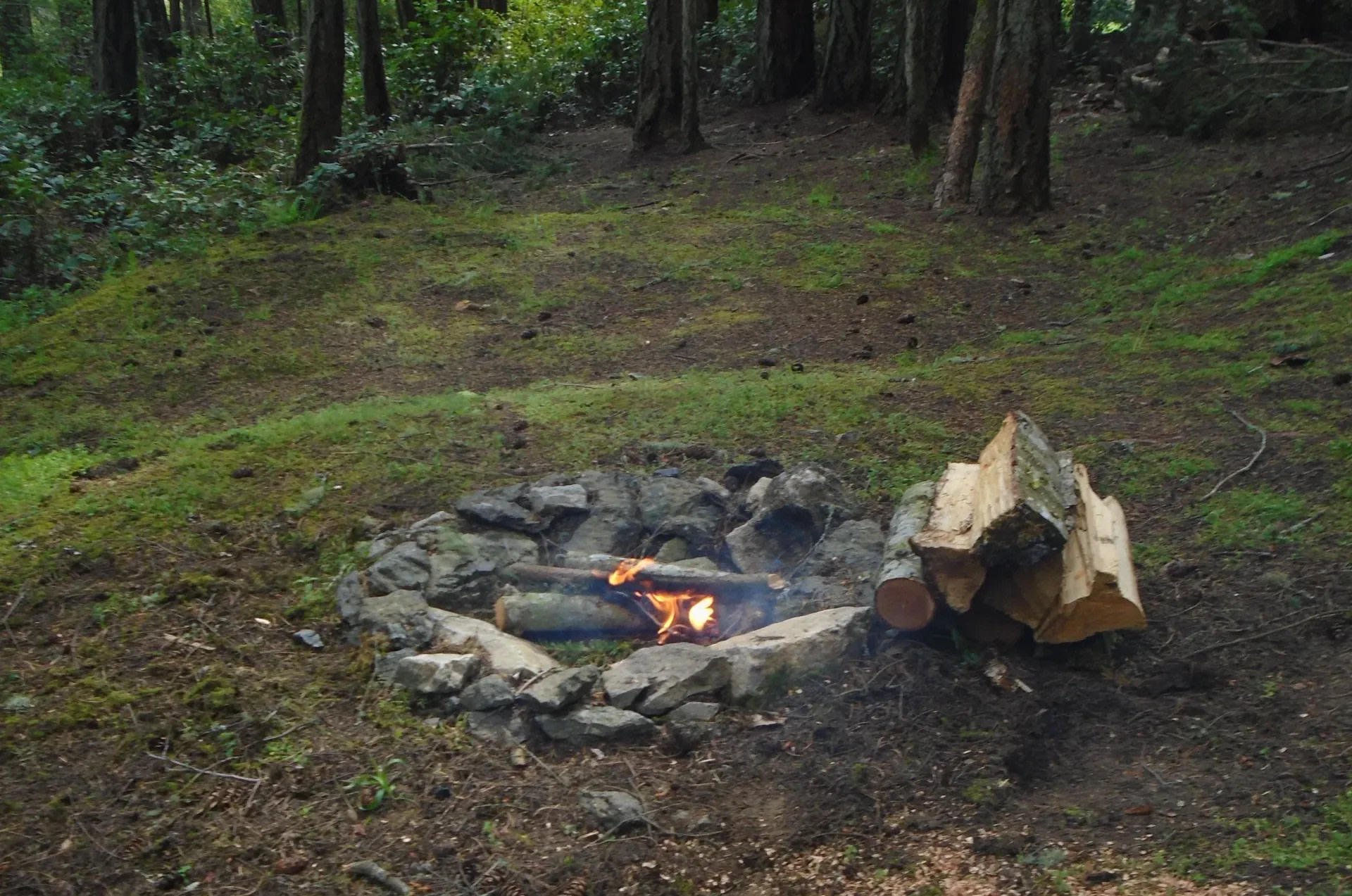Evergreen Campground - SJ Island