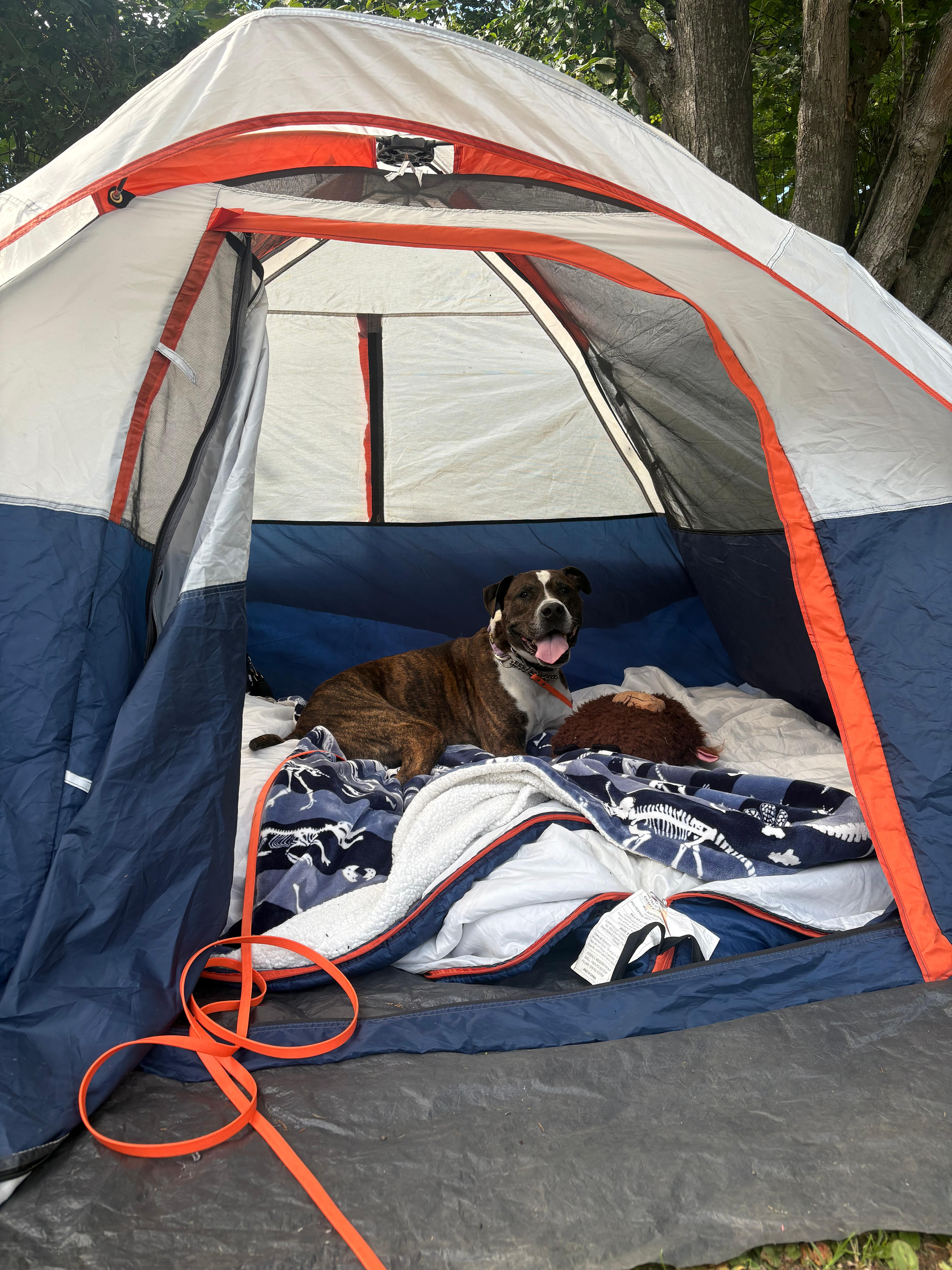 Taconic Beautiful Winter Camping!