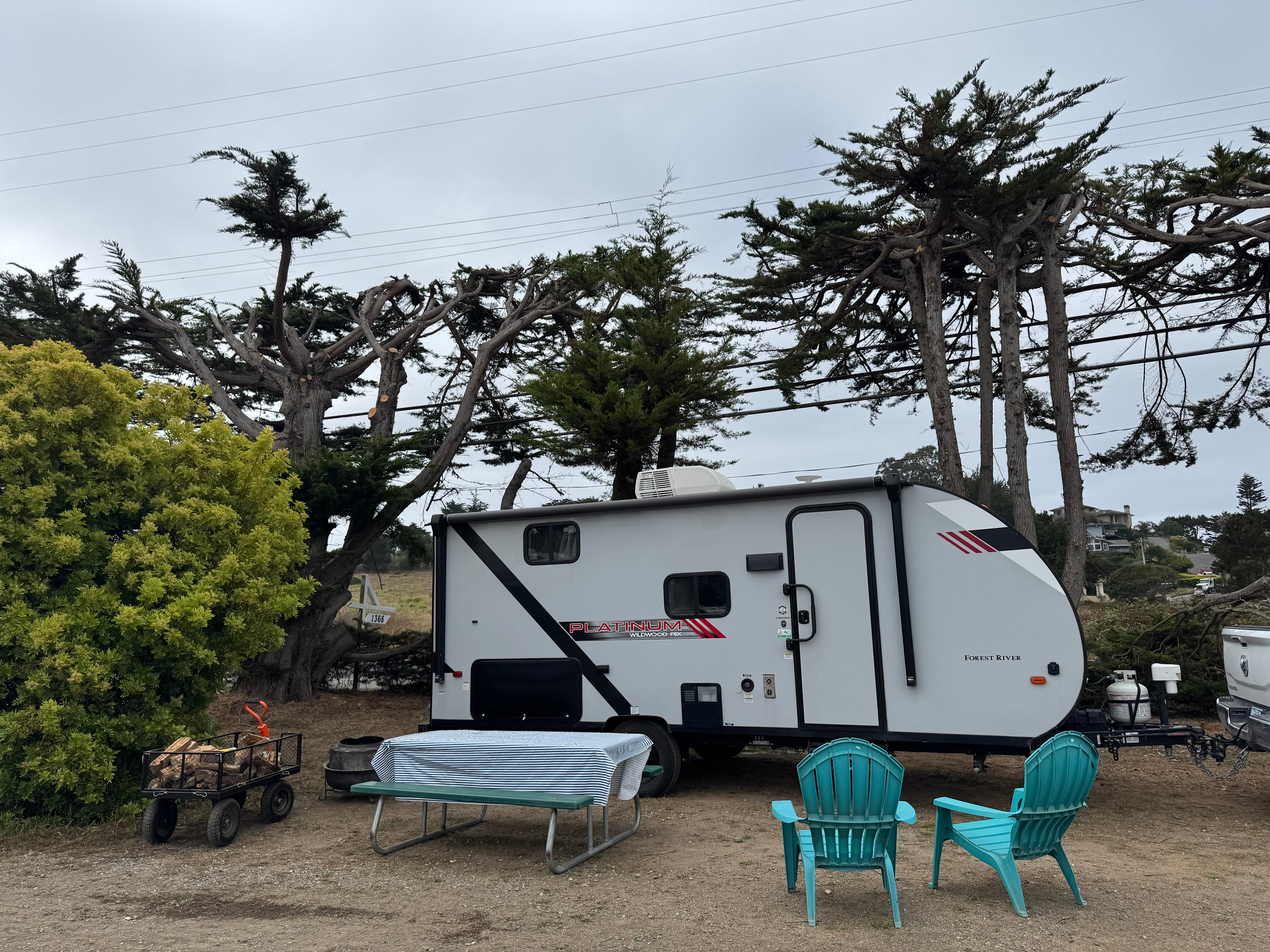 Strawberry Fields+Walk to the Beach