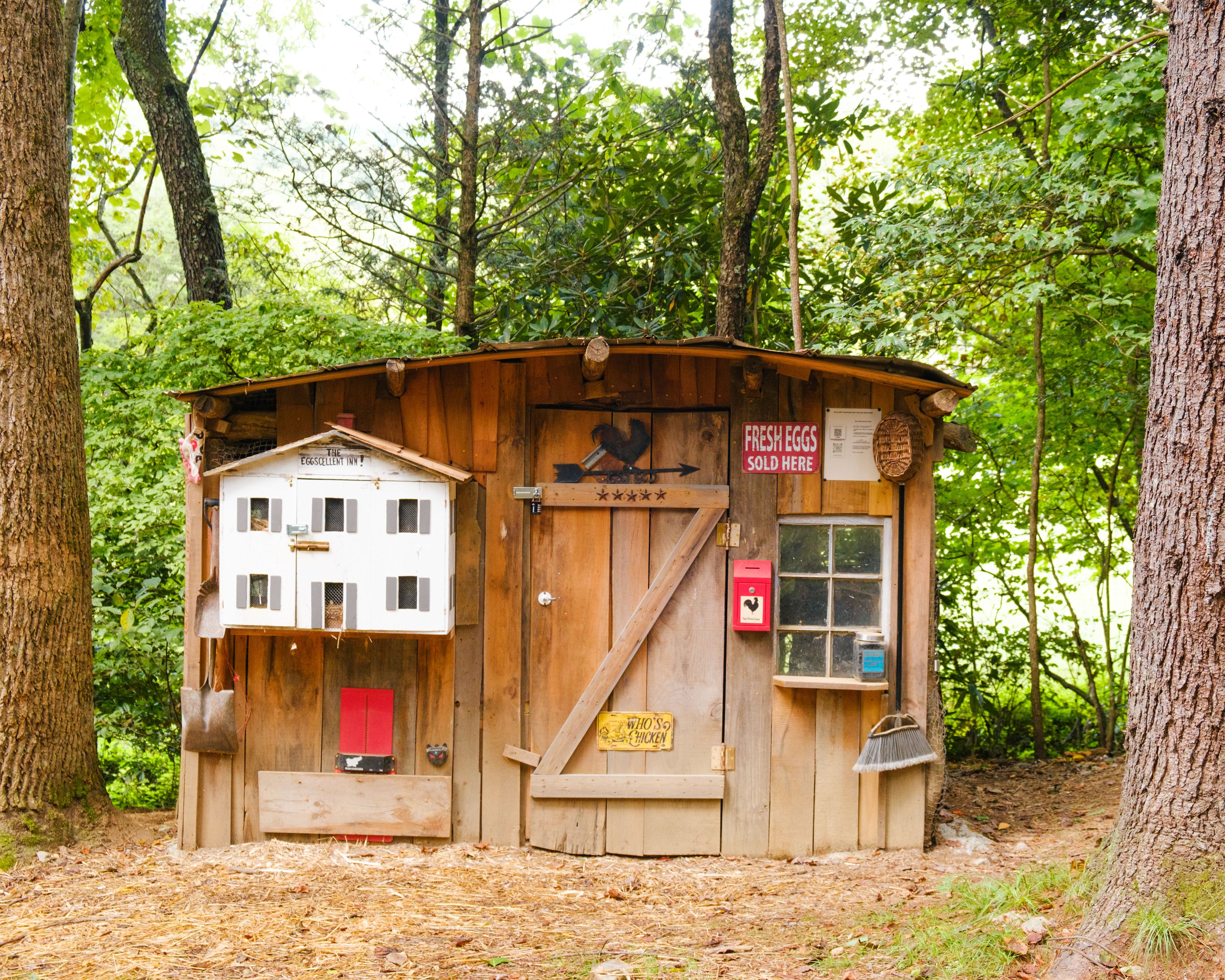 fresh eggs available walking distance from all the sites!