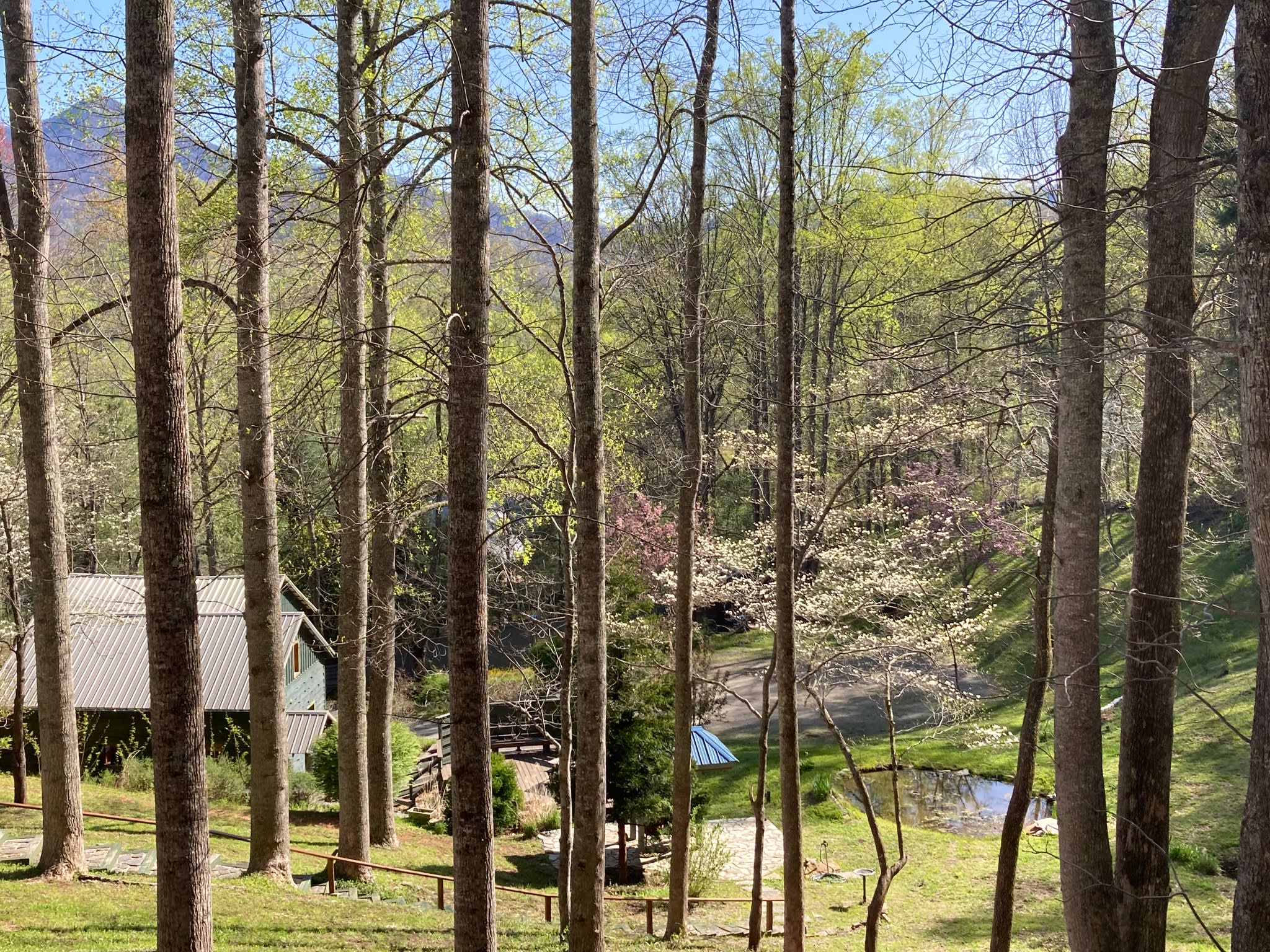 Watershed Nature Retreat