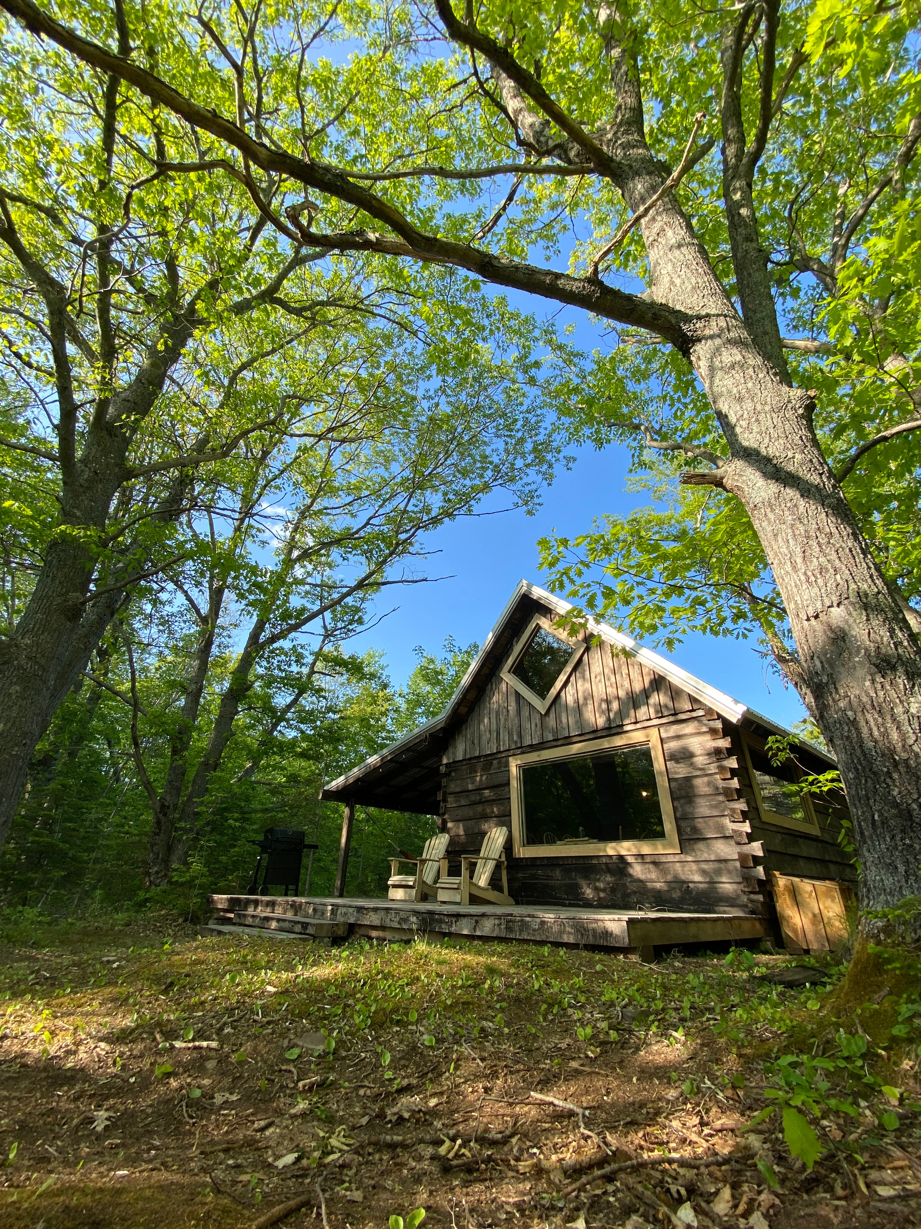 Oak And Aspen Cabin