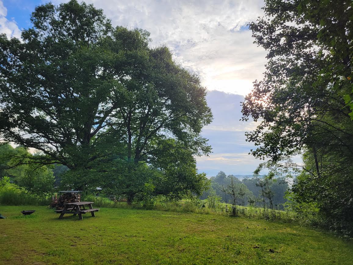 Yew Mountain Center